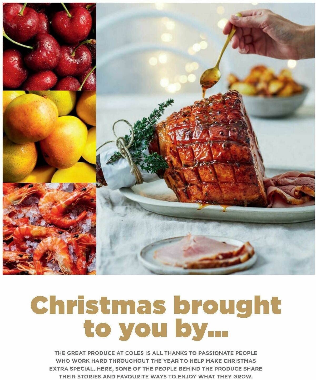 Coles Magazine December Catalogues from 1 December