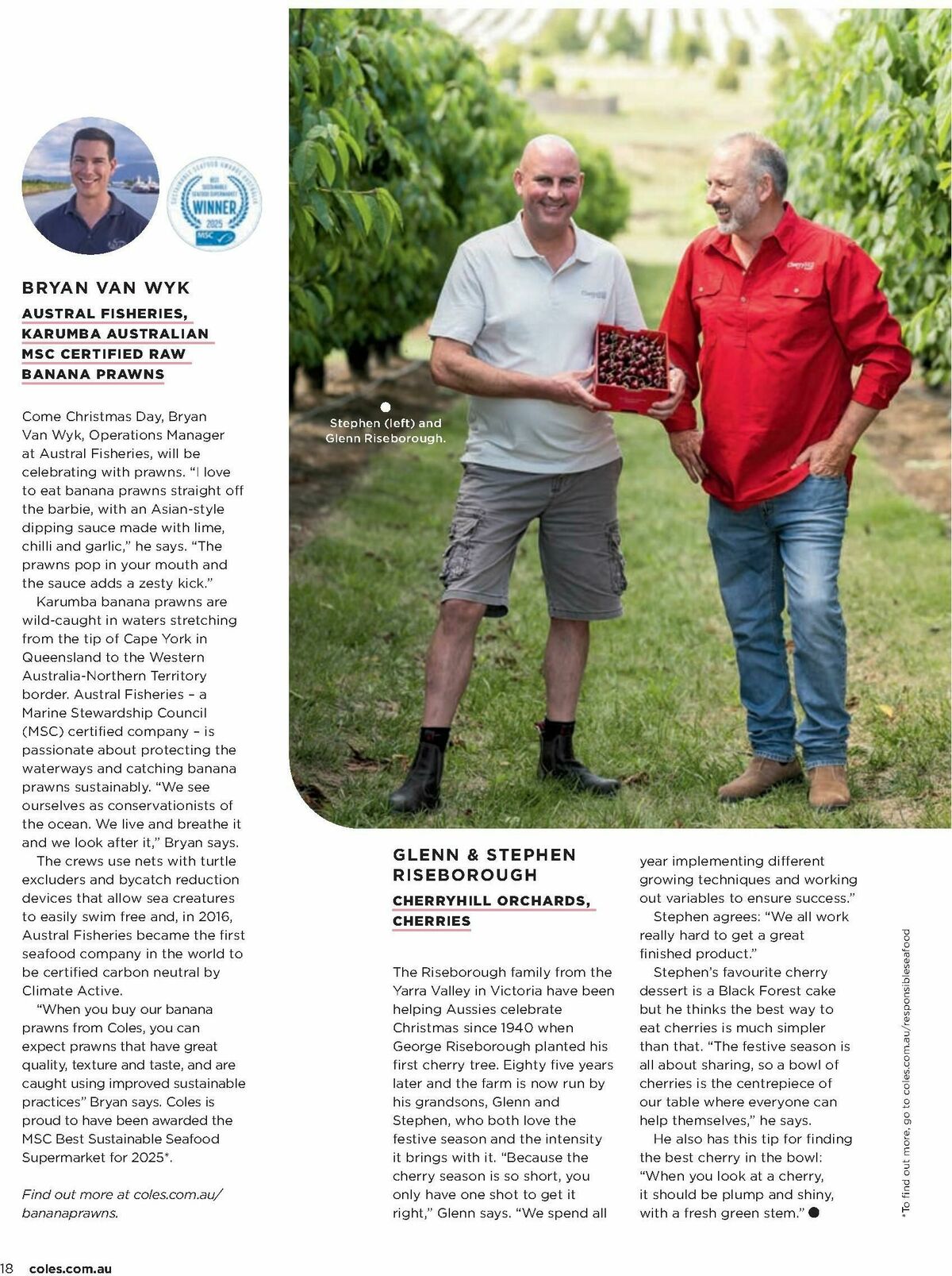 Coles Magazine December Catalogues from 1 December