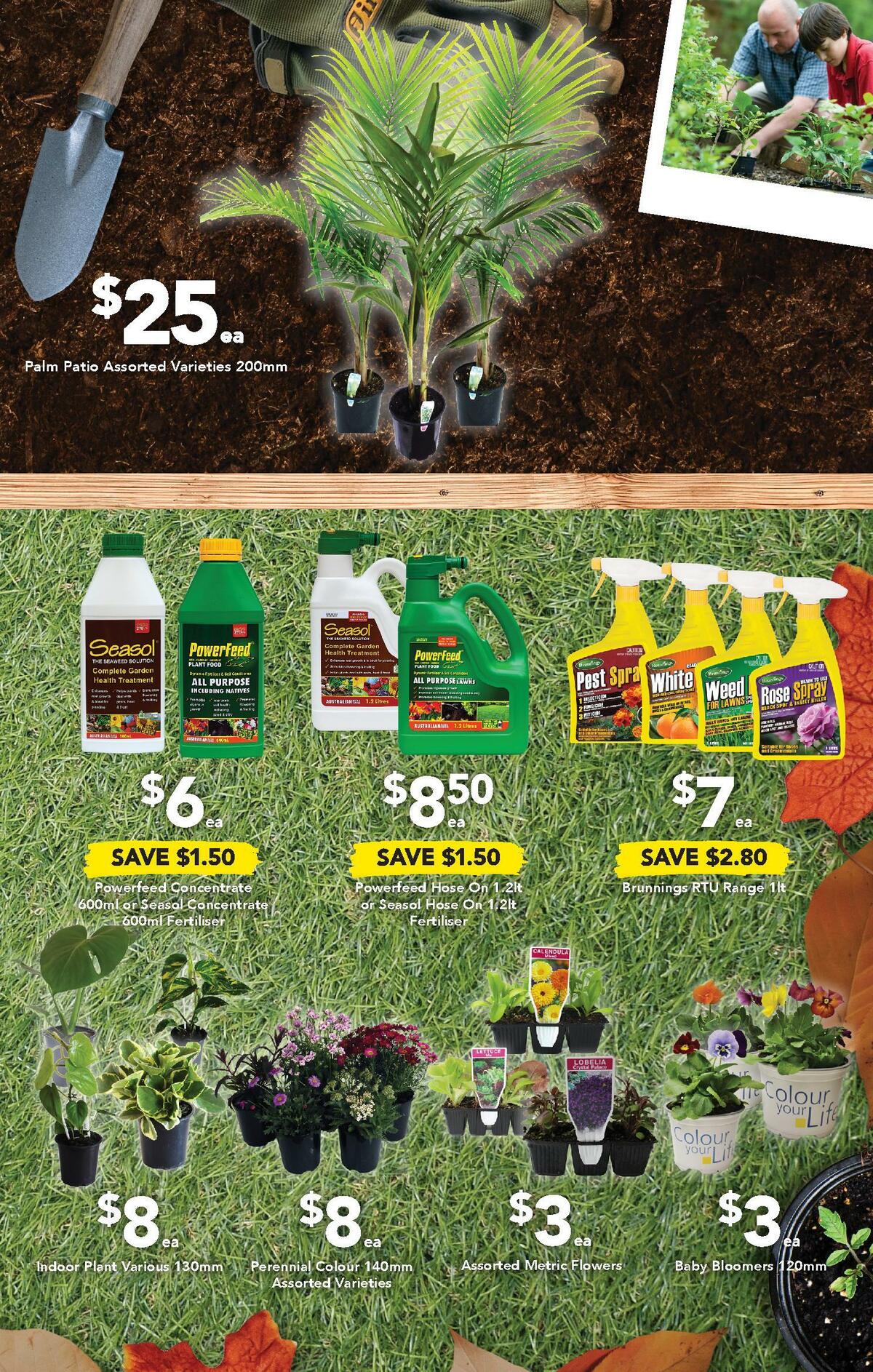 Drakes Catalogues from 27 April