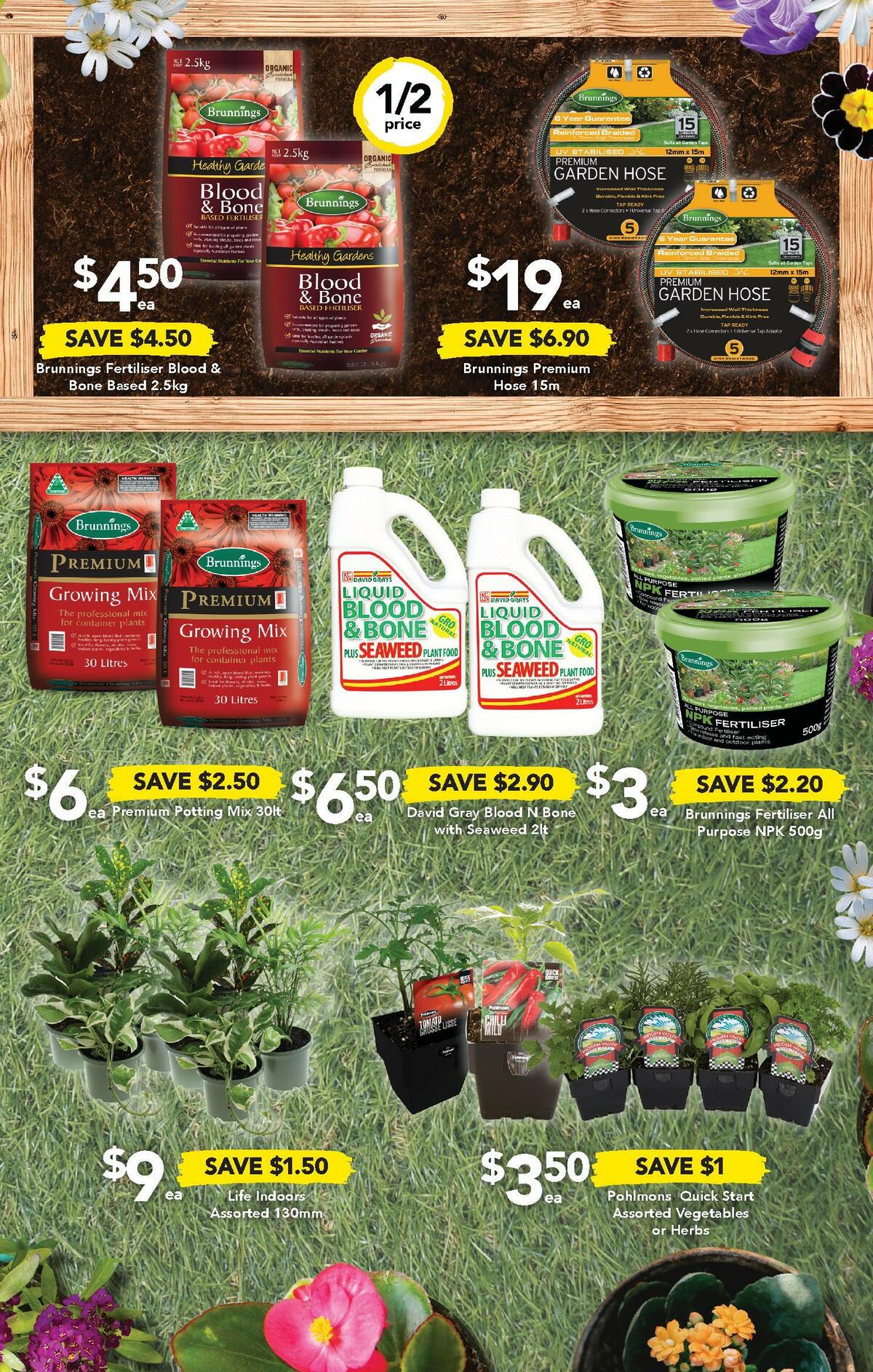 Drakes QLD Catalogues from 7 September