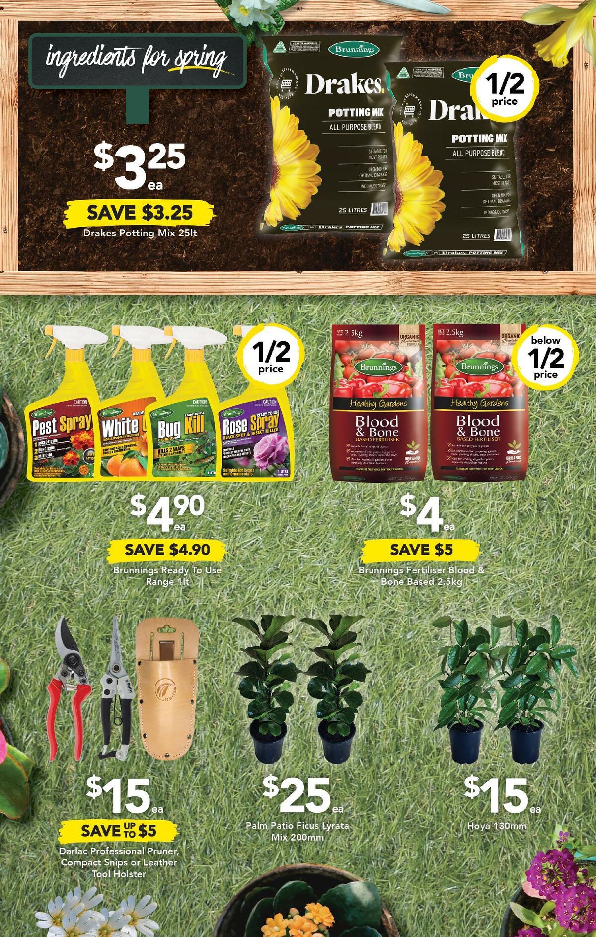 Drakes Catalogues from 21 September