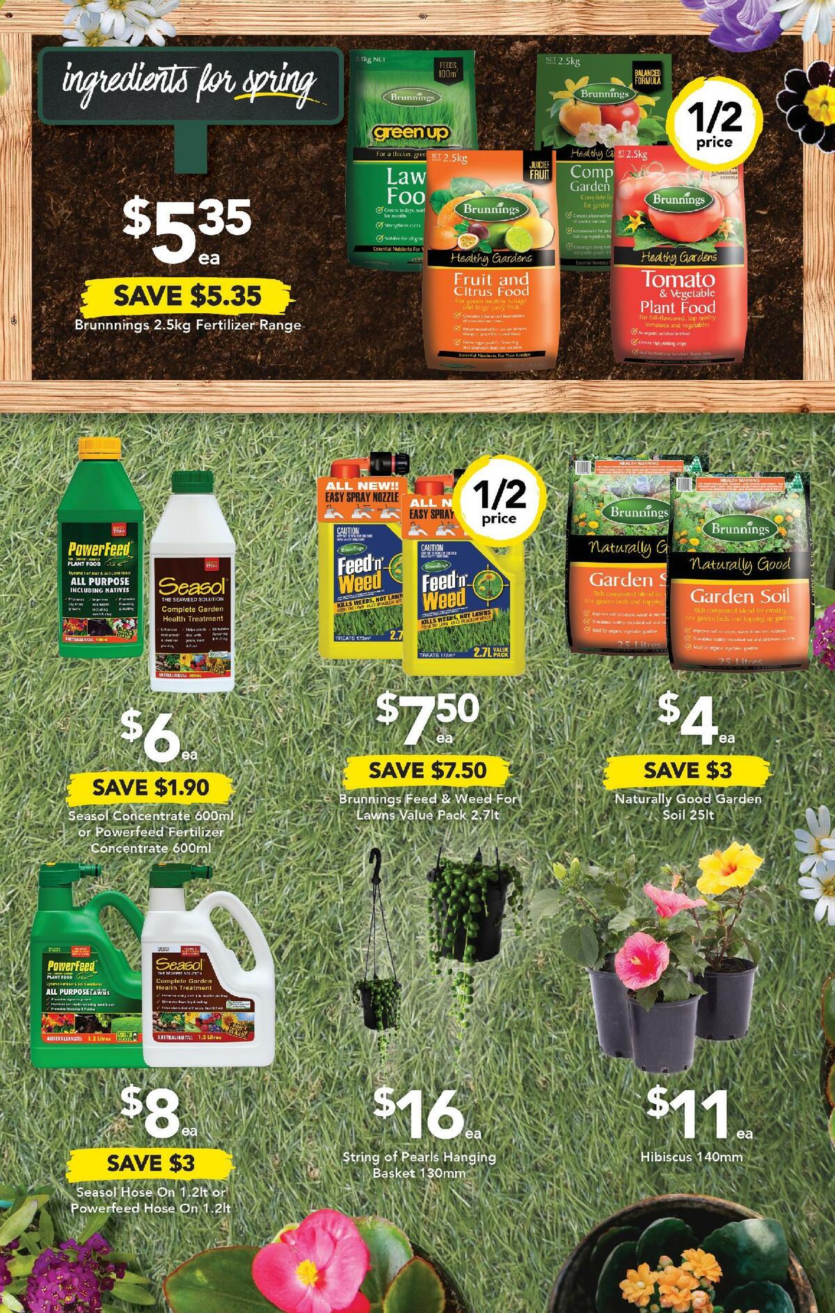 Drakes Catalogues from 21 September