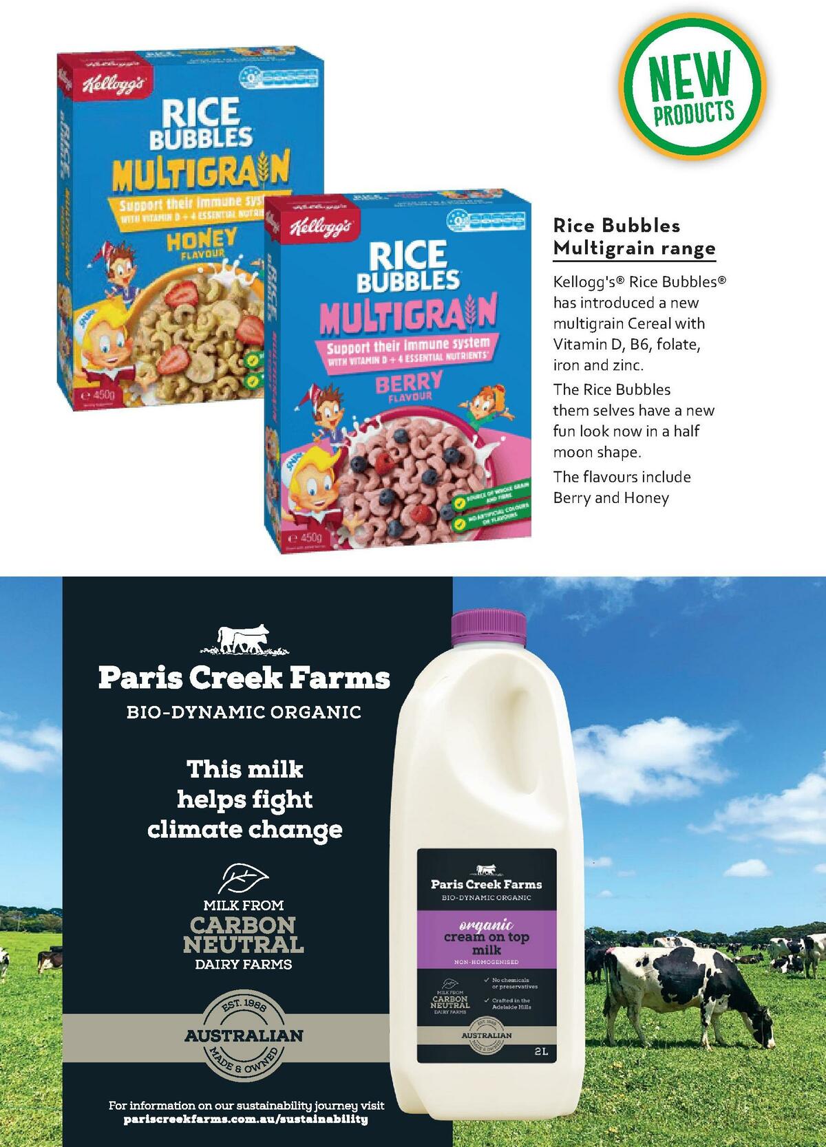 Drakes Magazine October/November Catalogues from 1 October