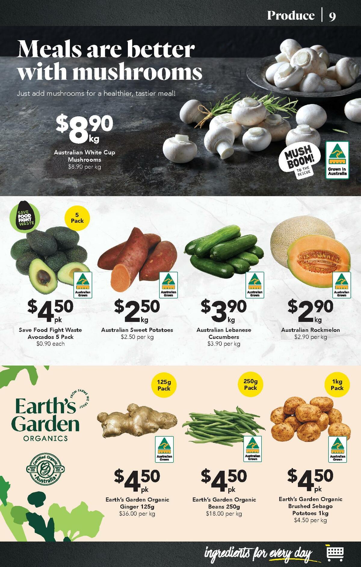 Drakes Catalogues from 26 October