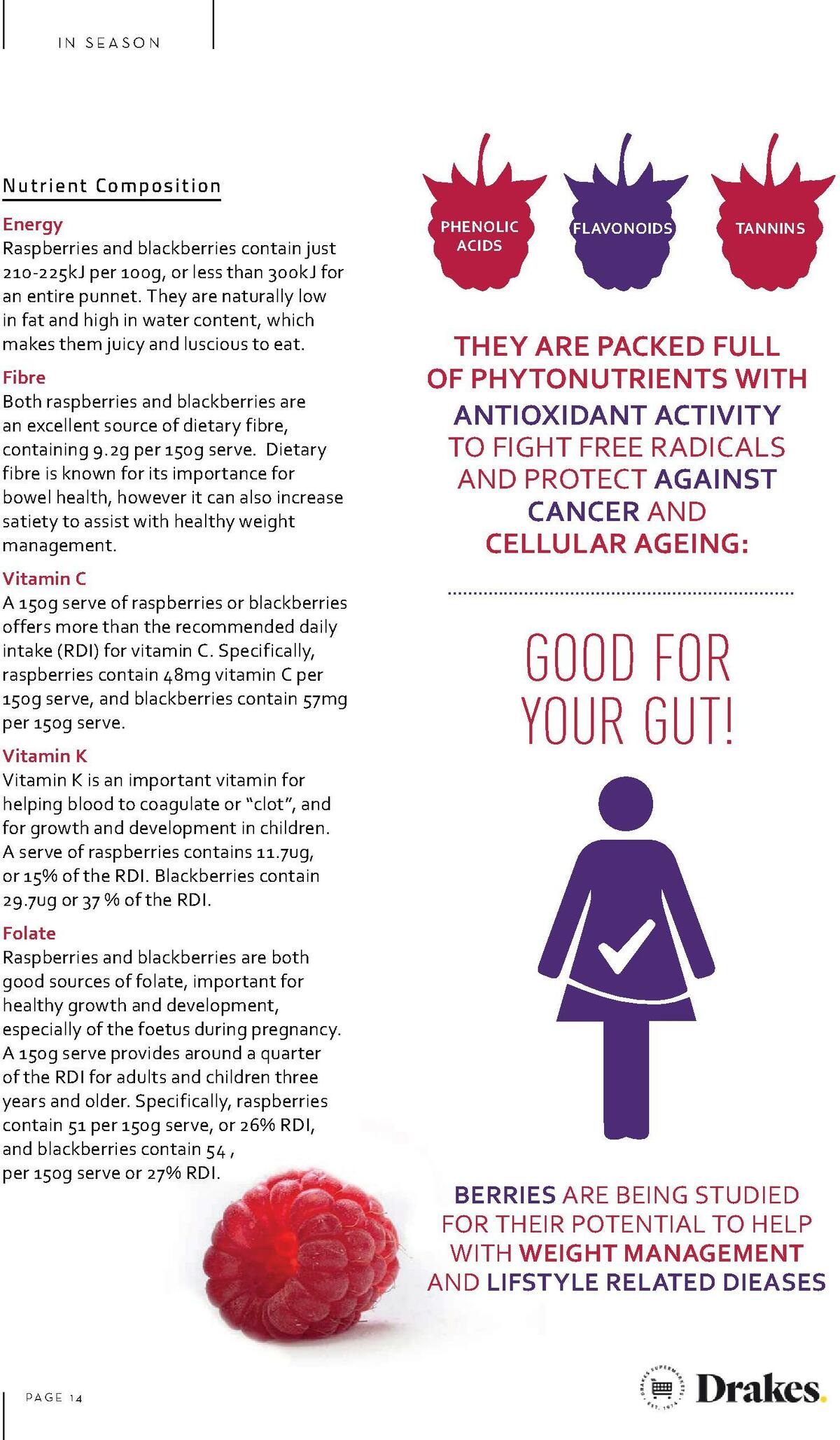 Drakes Magazine December Catalogues from 1 December