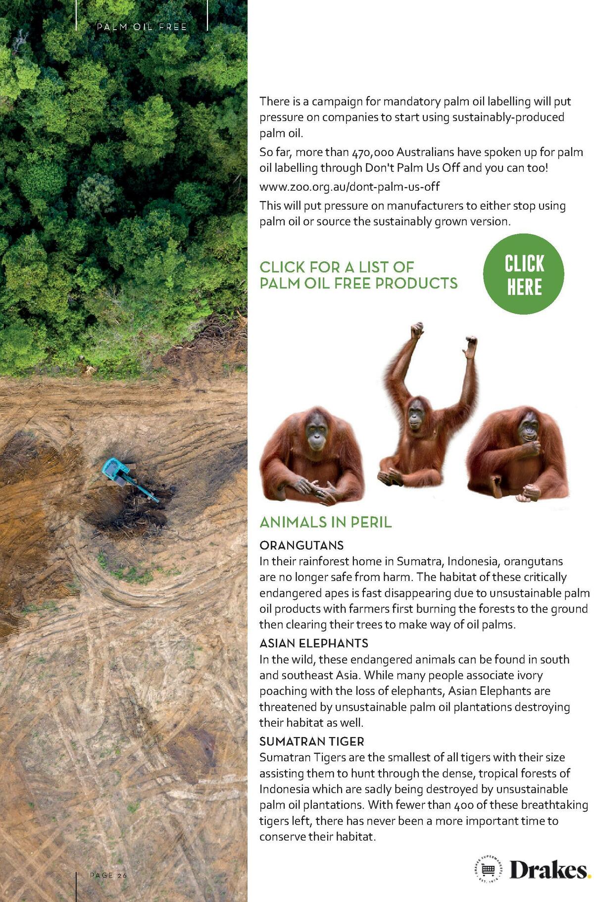 Drakes Magazine December Catalogues from 1 December