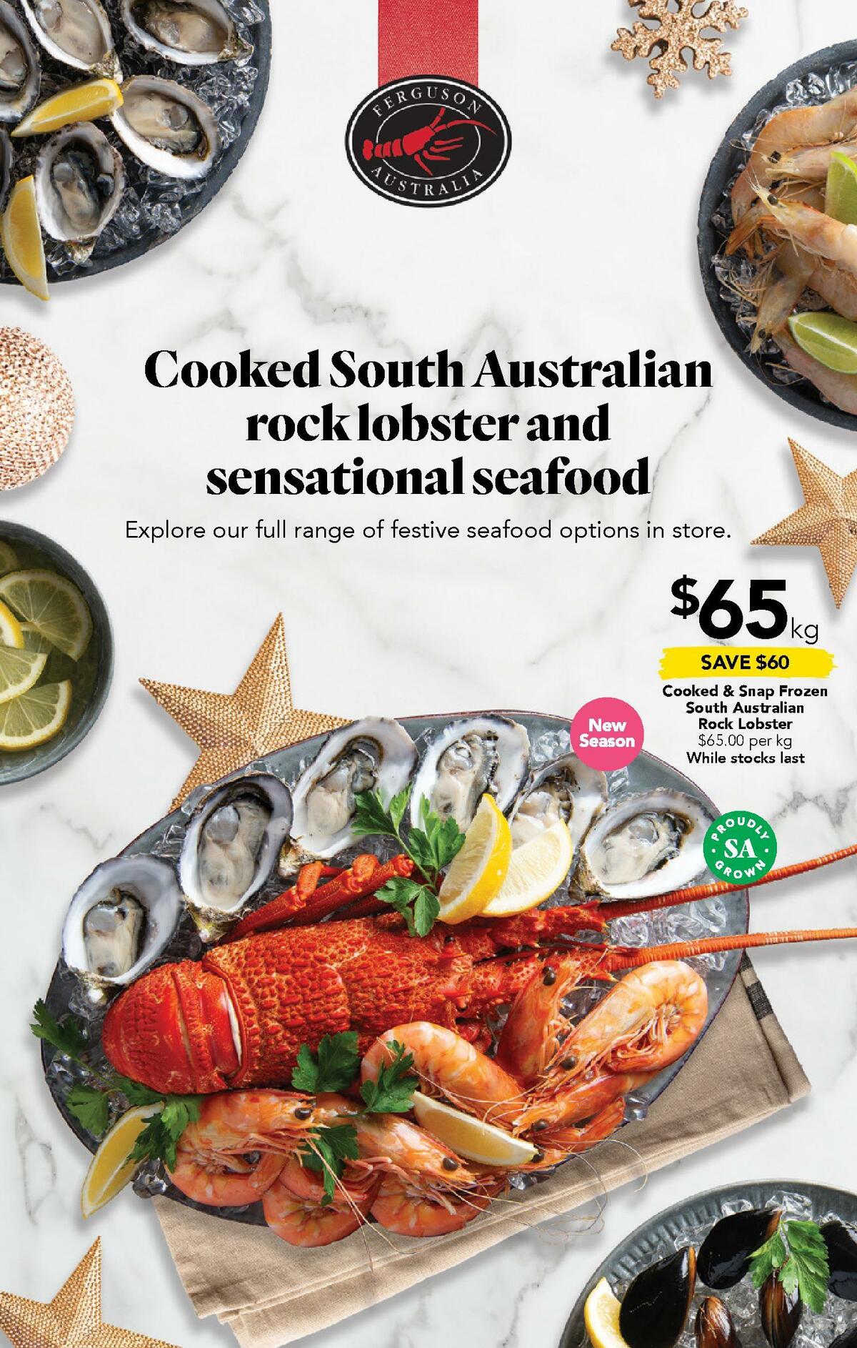 Drakes Catalogues from 21 December