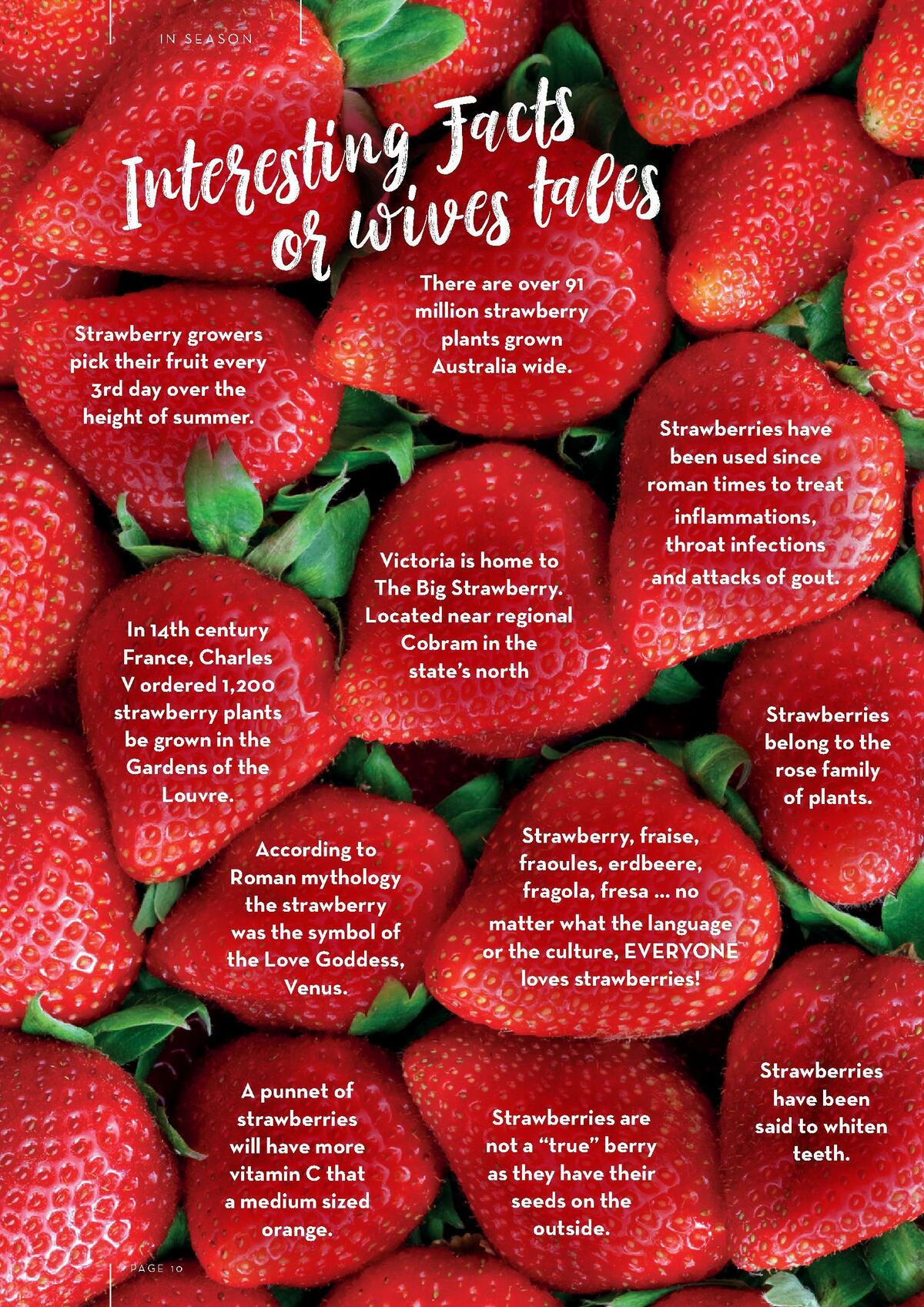 Drakes Magazine January/February Catalogues from 1 January