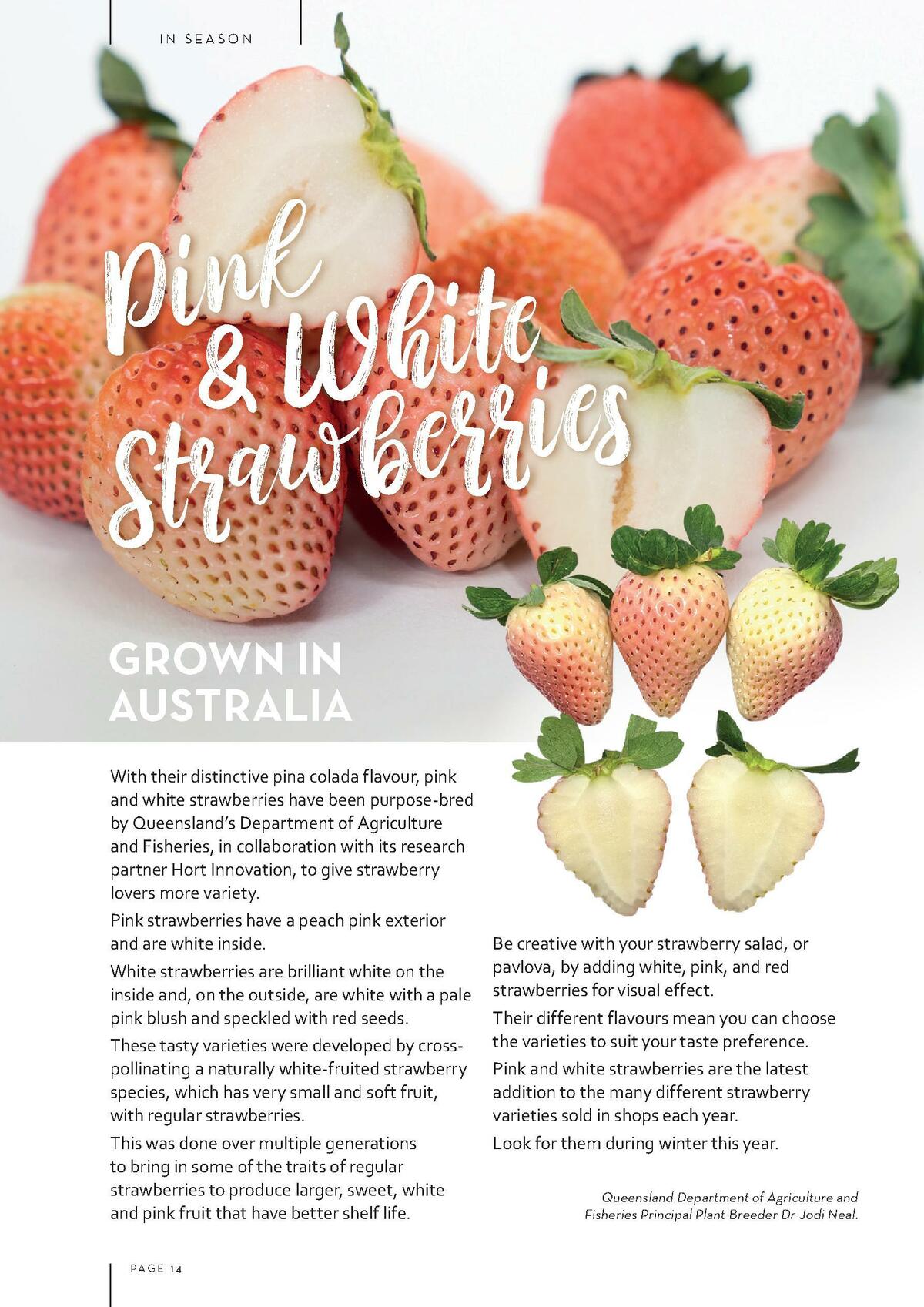 Drakes Magazine January/February Catalogues from 1 January