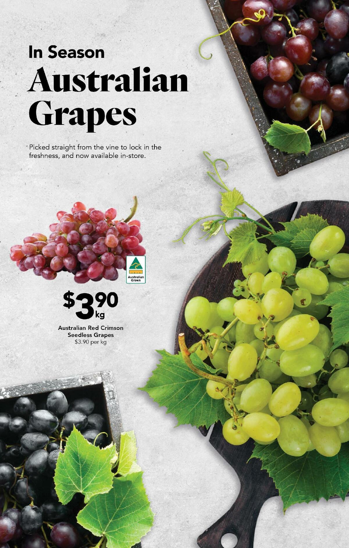 Drakes Queensland Catalogues from 15 March