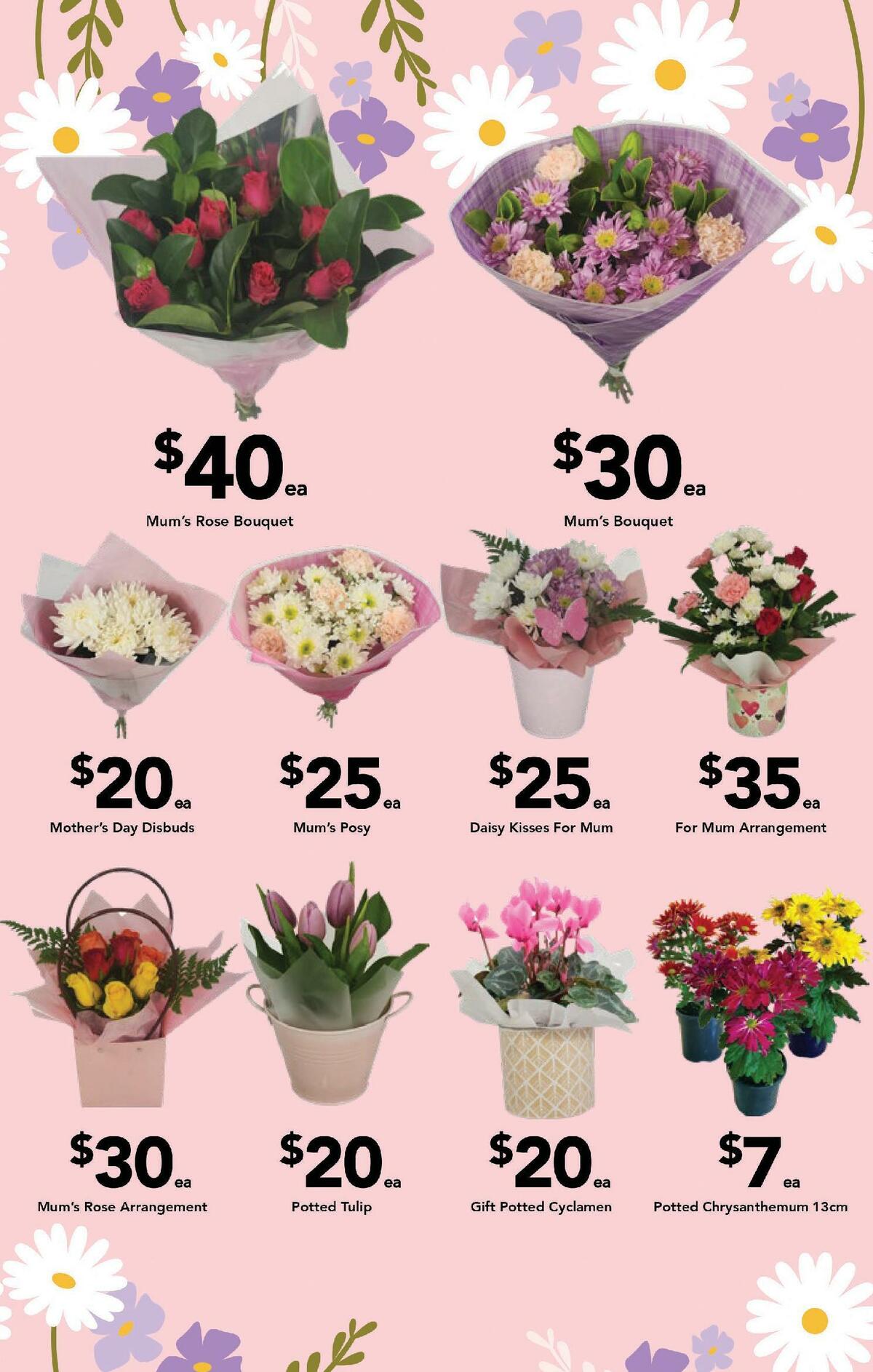 Drakes Catalogues from 10 May