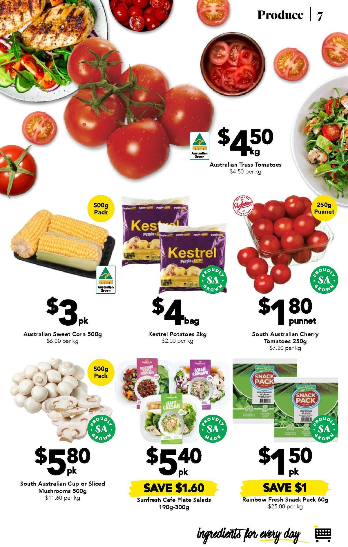 Drakes Catalogues from 26 July