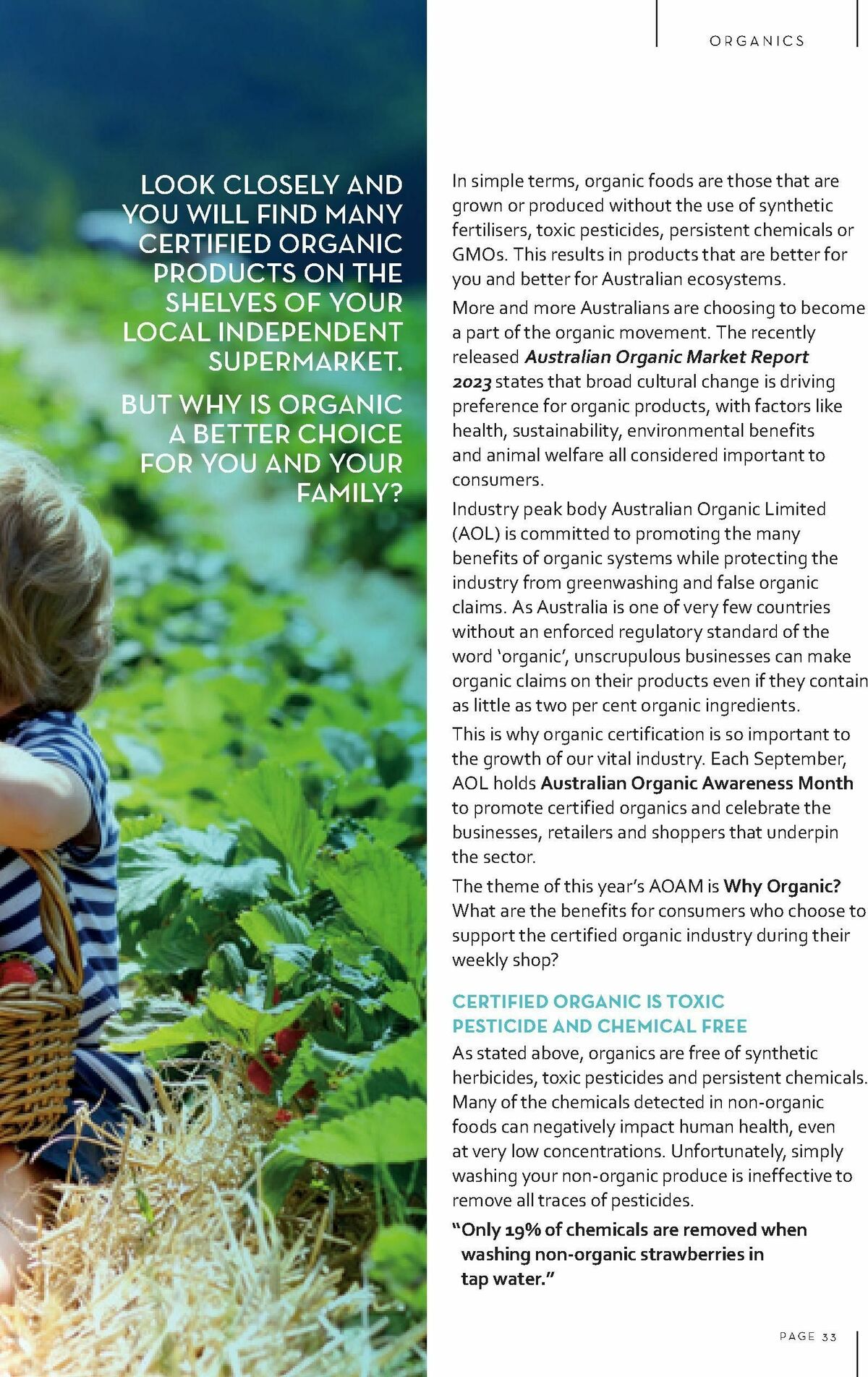 Drakes Magazine August/September Catalogues from 1 August