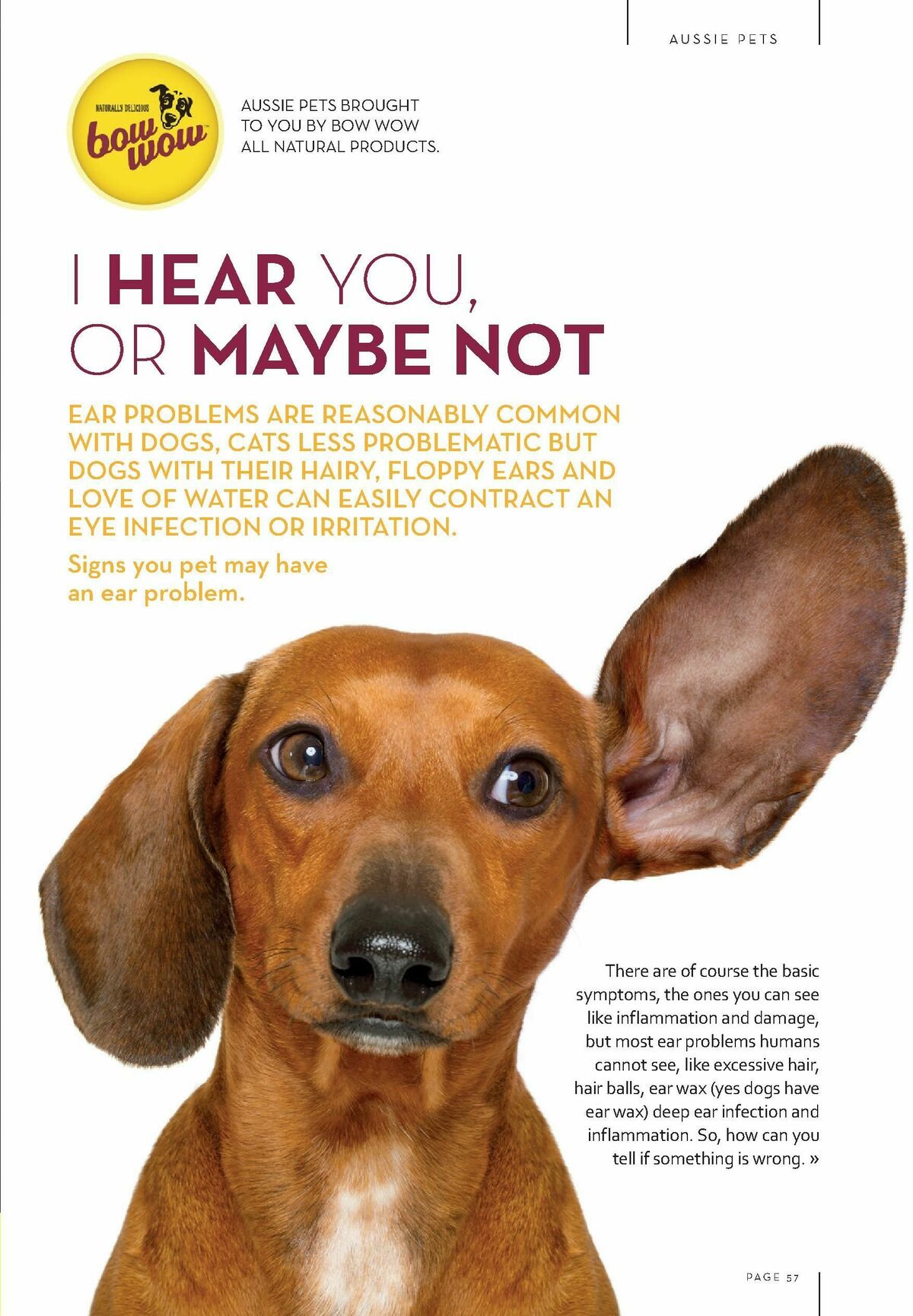 Drakes Magazine August/September Catalogues from 1 August