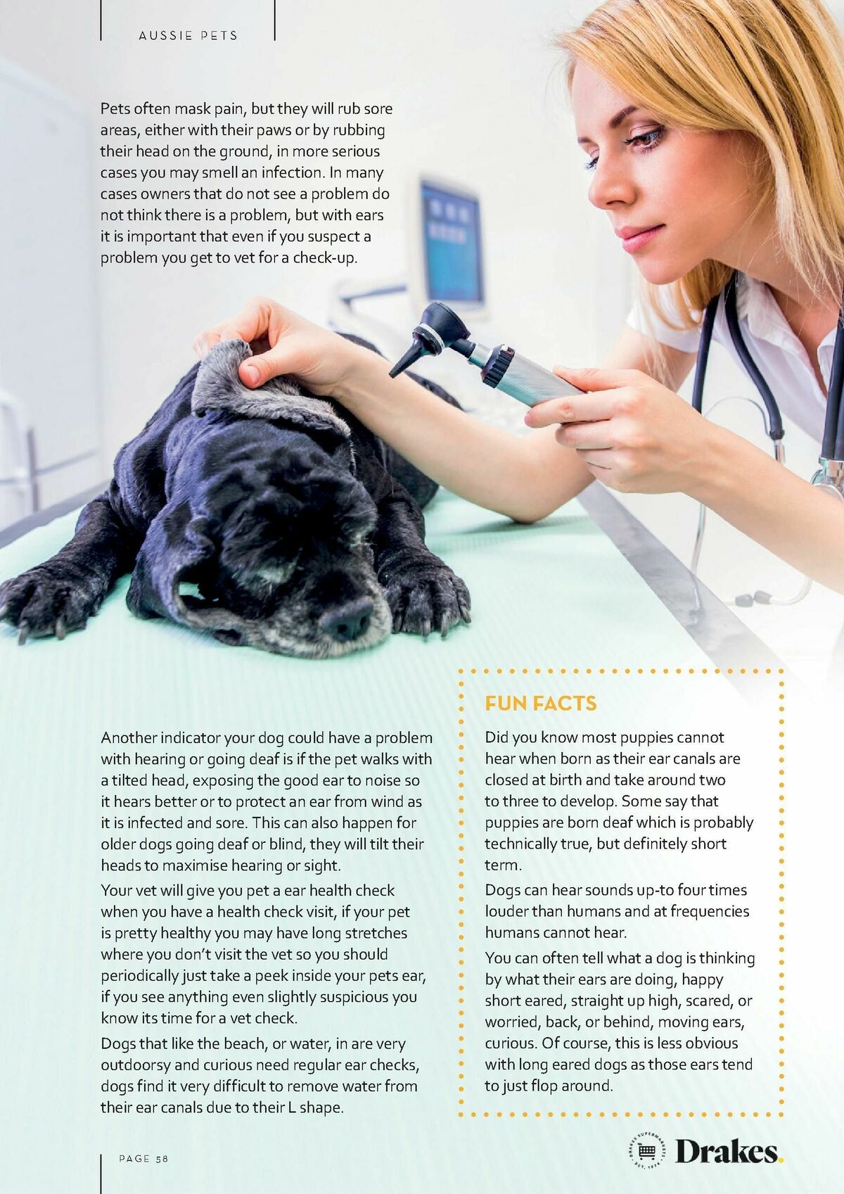 Drakes Magazine August/September Catalogues from 1 August