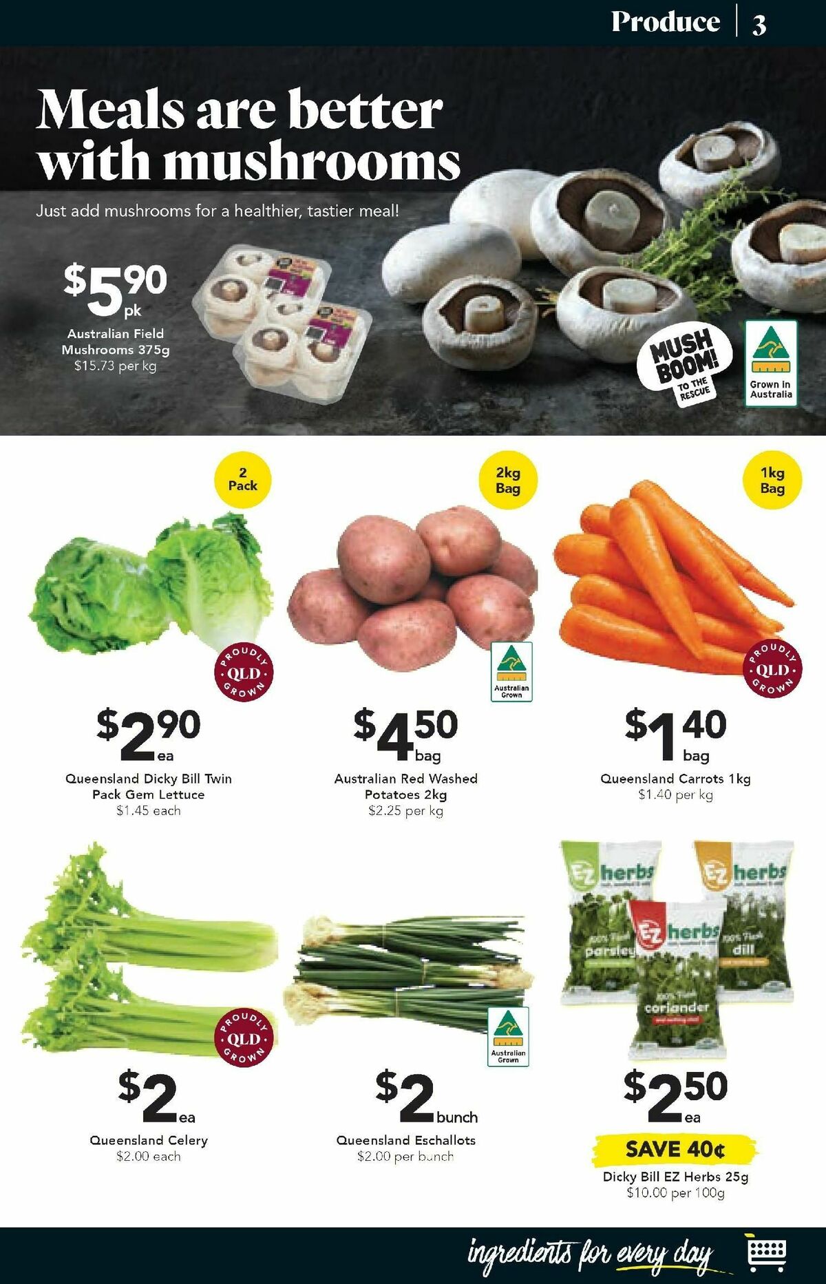 Drakes QLD Catalogues from 6 September