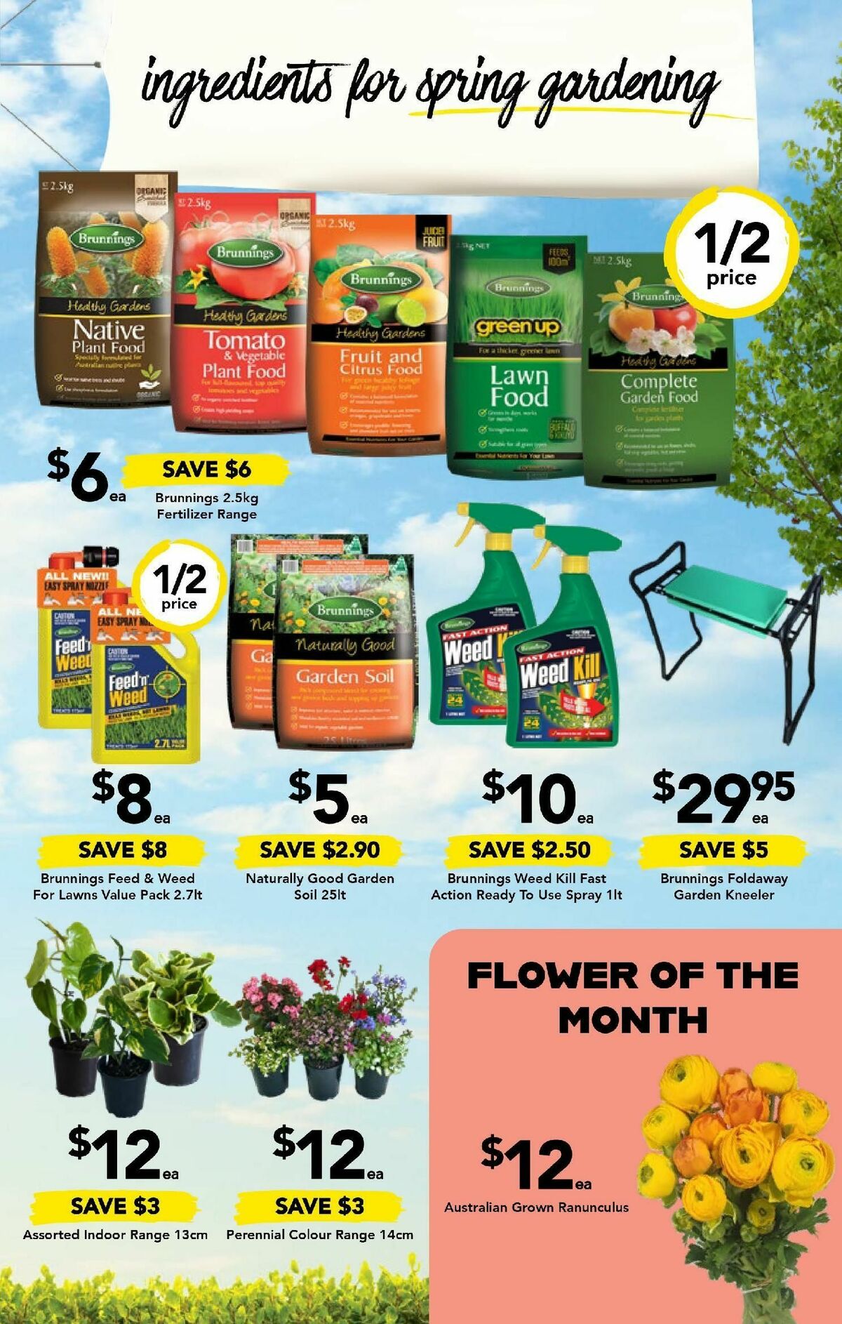 Drakes Catalogues from 20 September