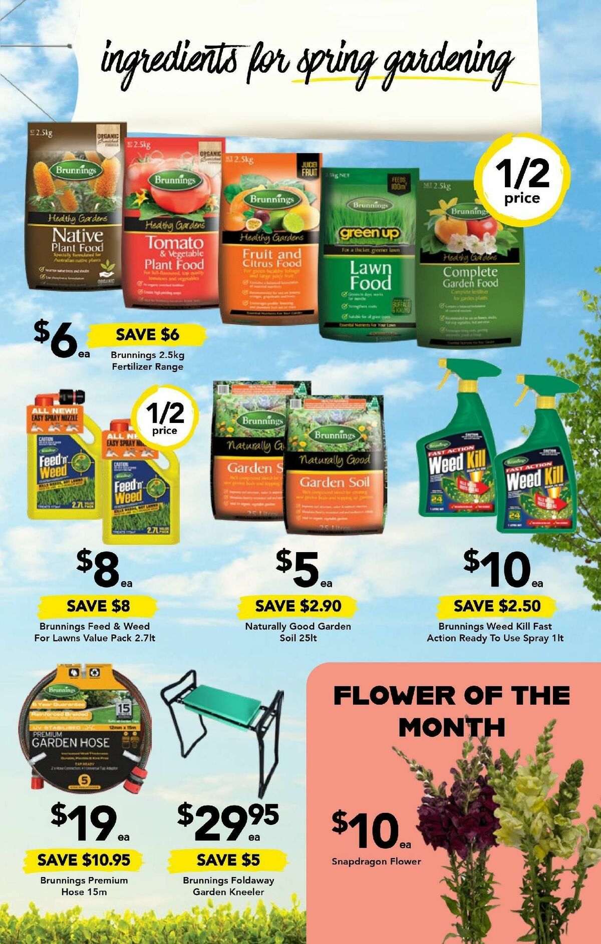 Drakes QLD Catalogues from 20 September