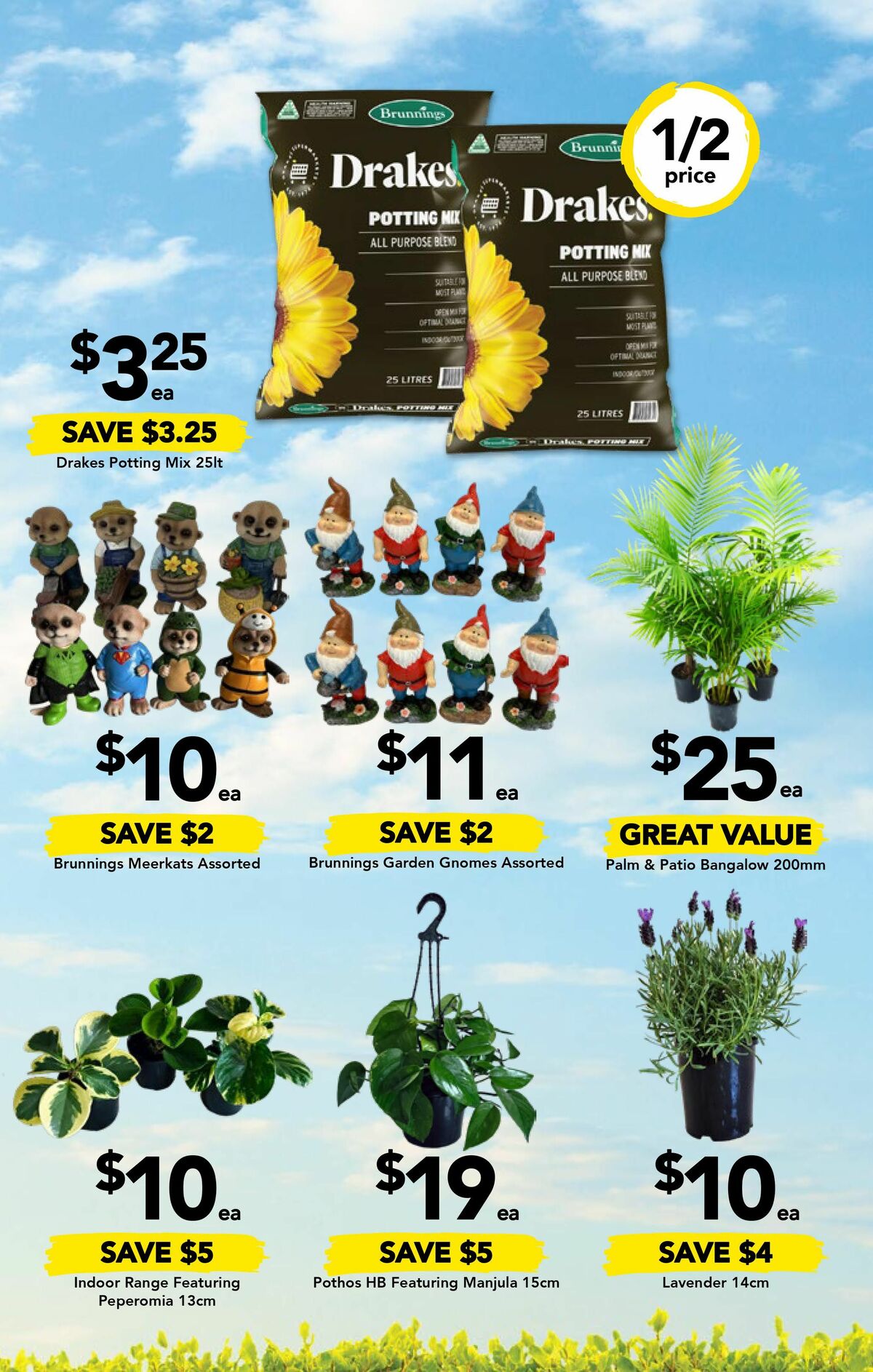 Drakes Catalogues from 27 September