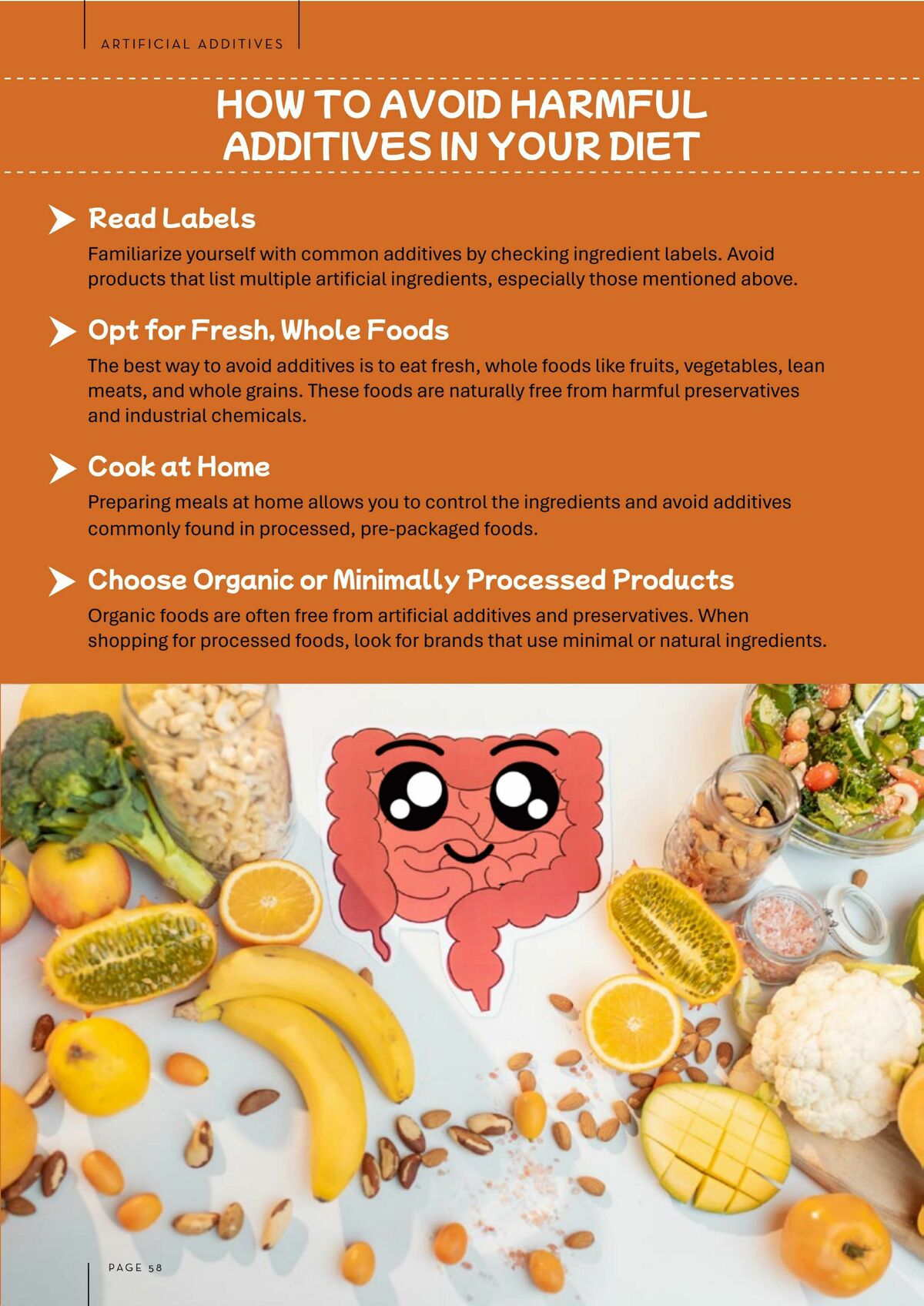 Drakes Magazine December Catalogues from 1 December