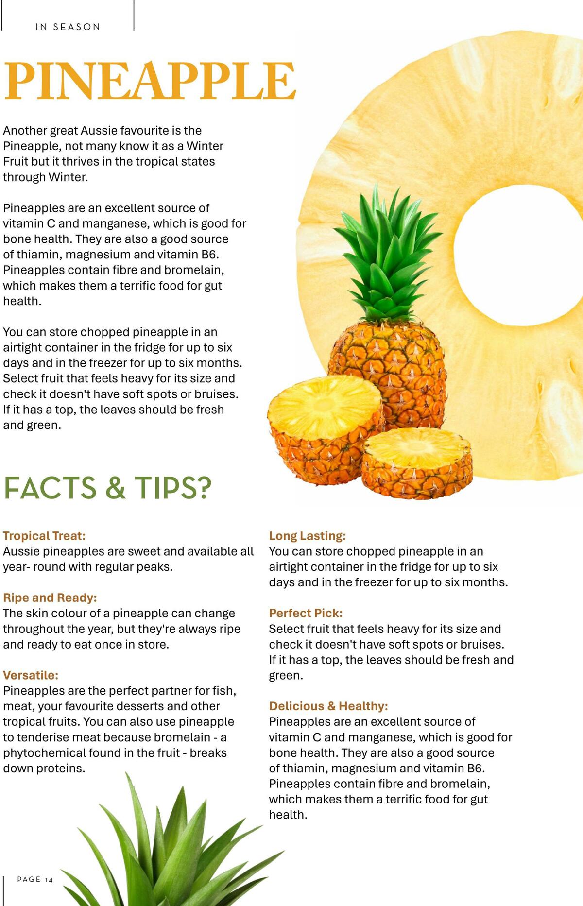 Drakes Magazine January Catalogues from 1 January