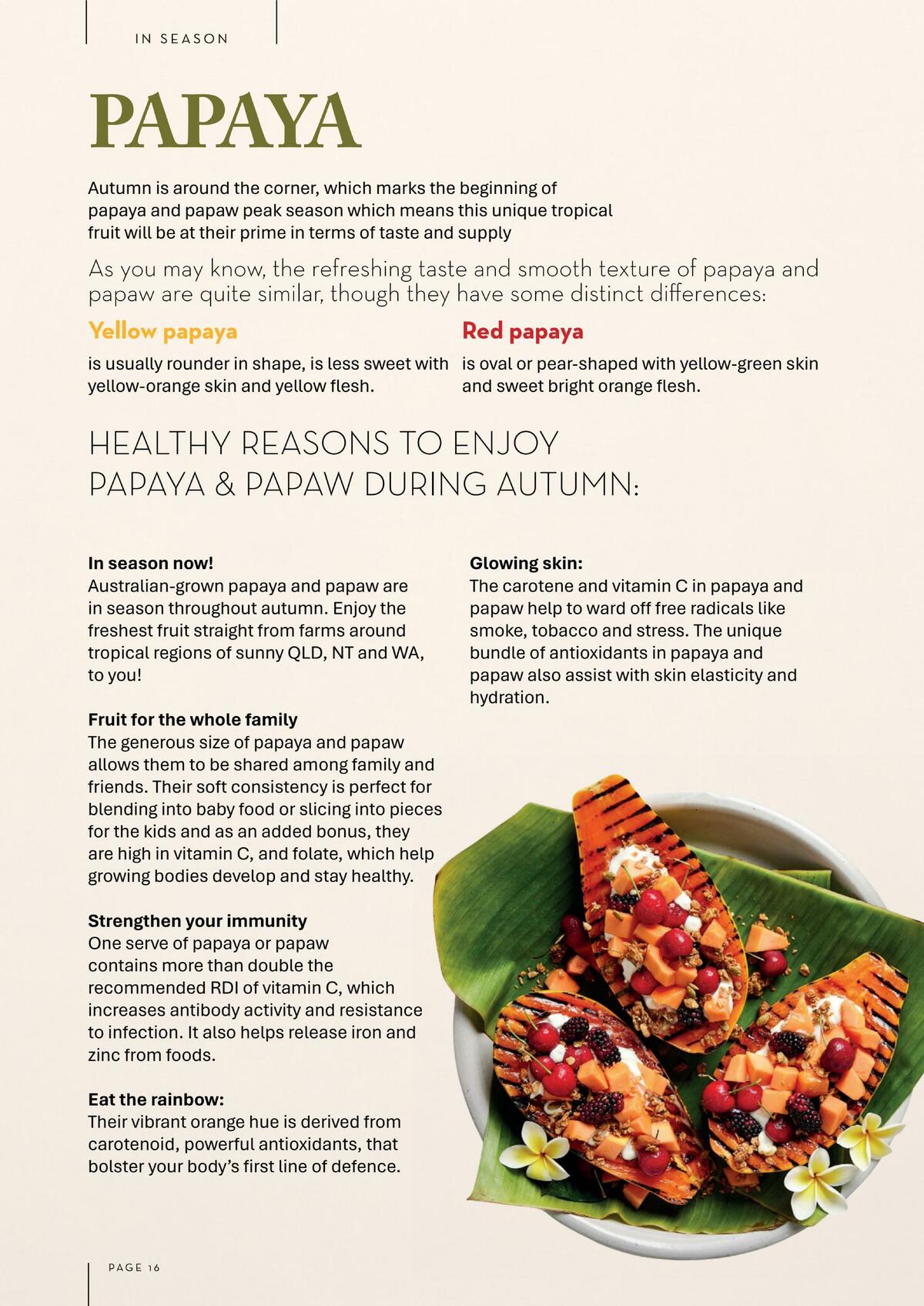 Drakes Magazine January Catalogues from 1 January