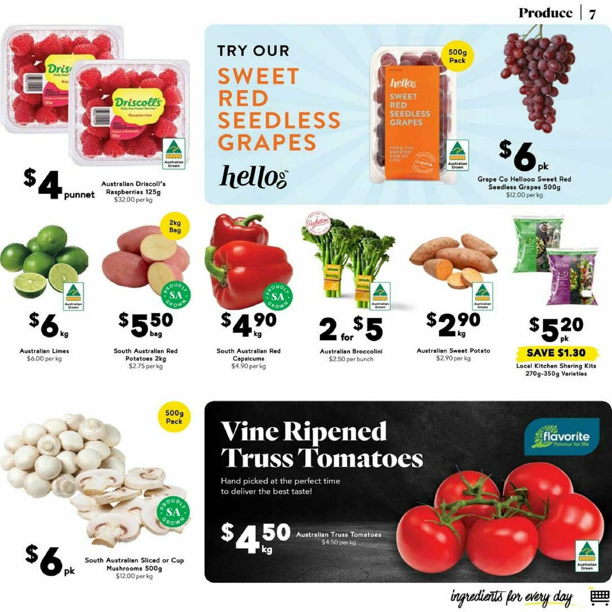 Drakes Catalogues from 12 February