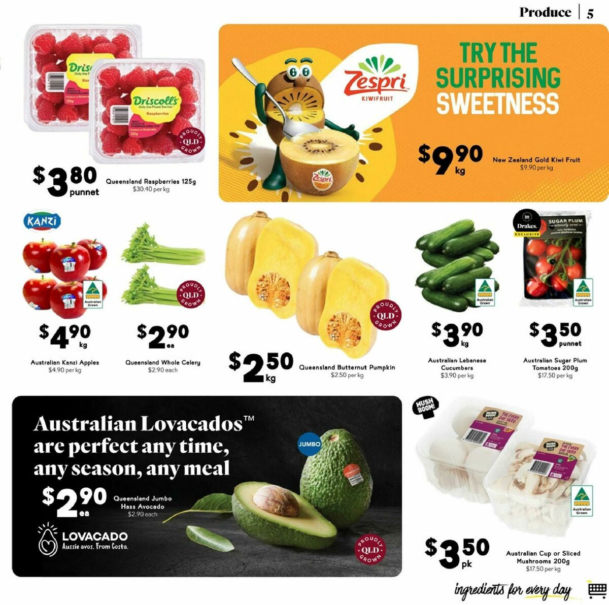 Drakes Queensland Catalogues from 7 May