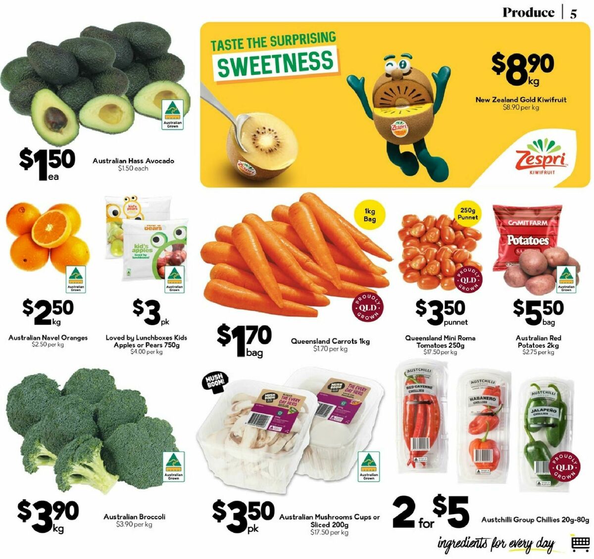 Drakes Queensland Catalogues from 13 August