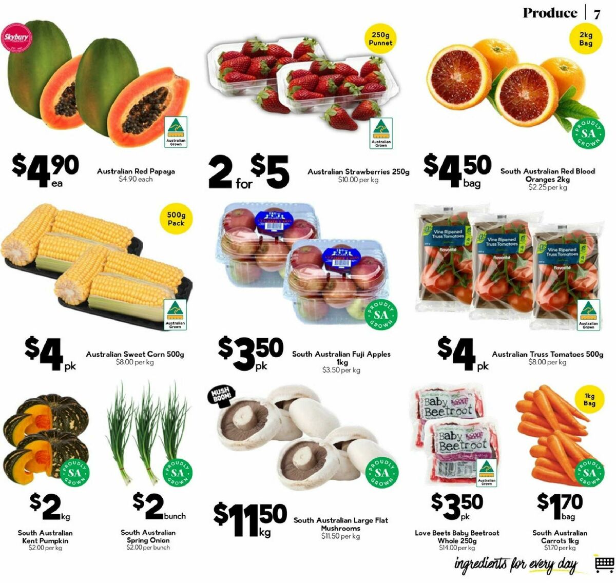 Drakes Catalogues from 3 September