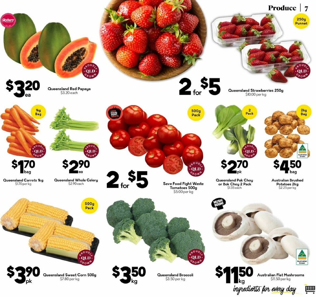 Drakes Queensland Catalogues from 3 September