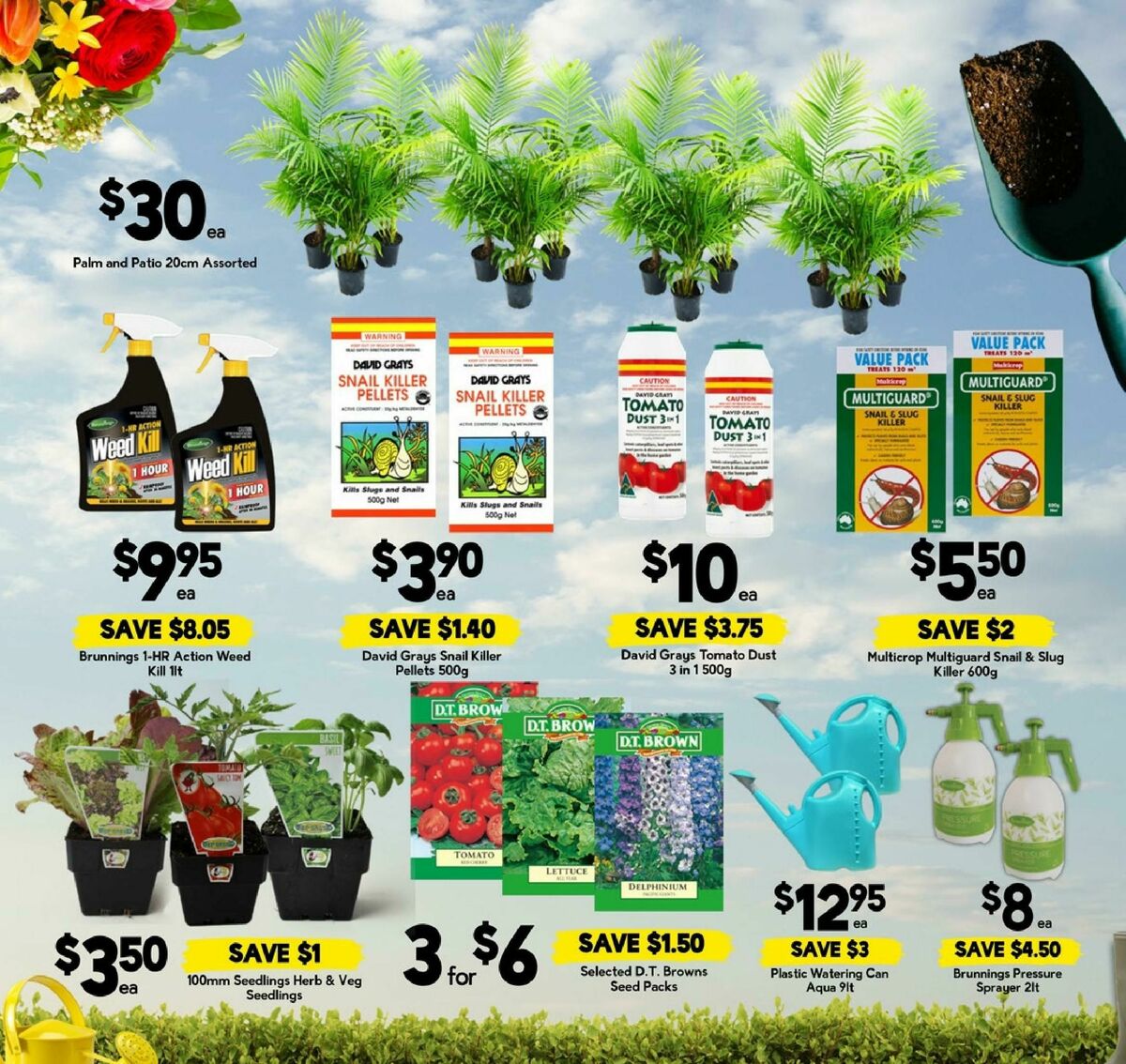 Drakes Catalogues from 10 September