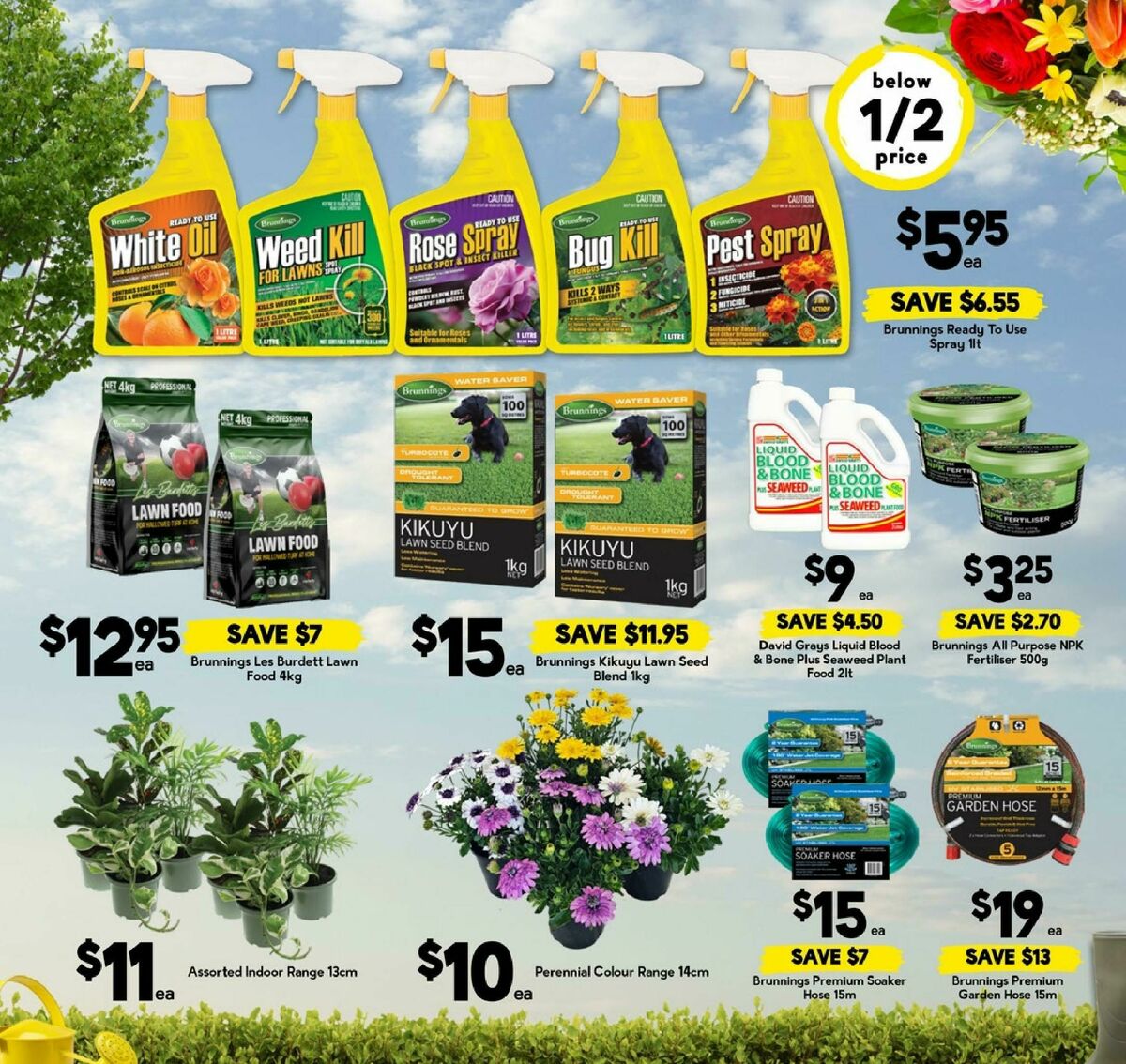 Drakes Catalogues from 10 September