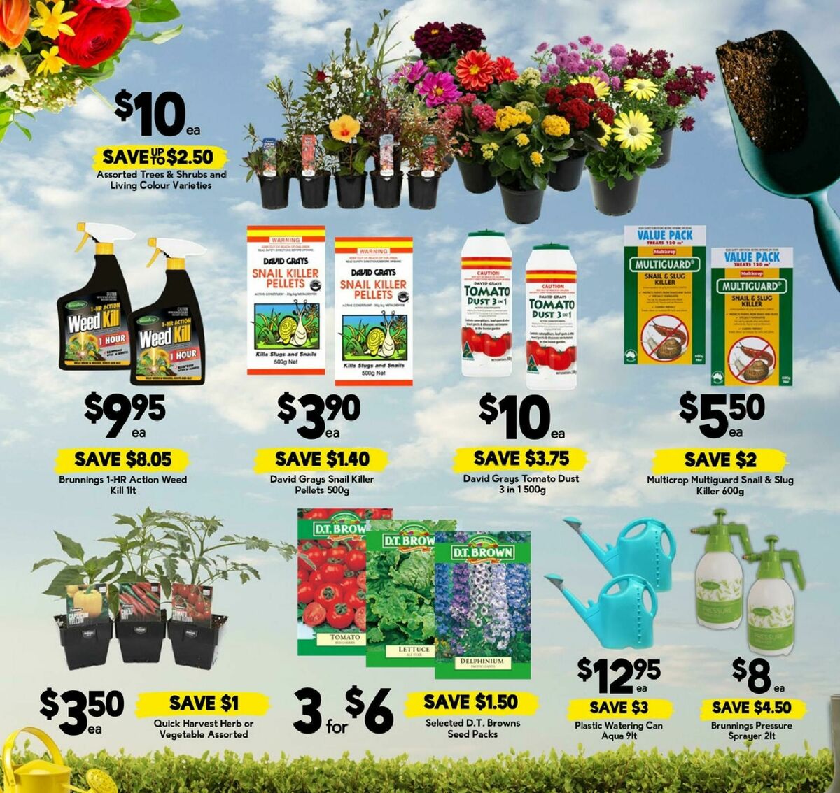 Drakes Queensland Catalogues from 10 September