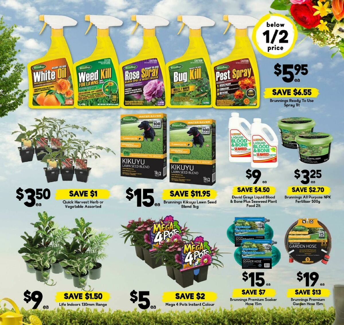 Drakes Queensland Catalogues from 10 September