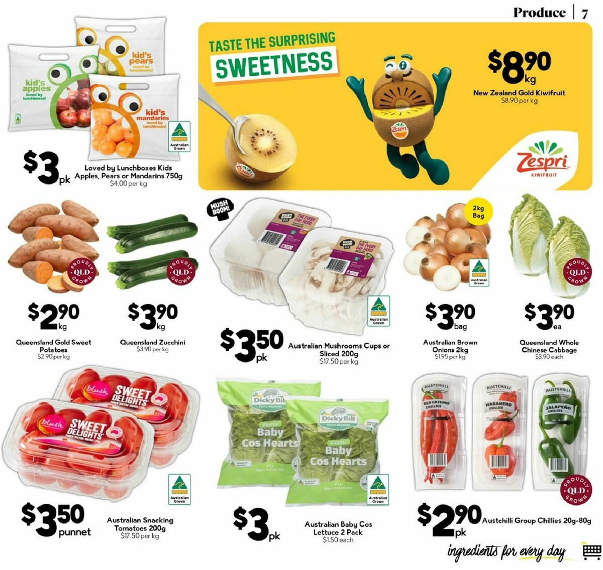 Drakes Queensland Catalogues from 10 September