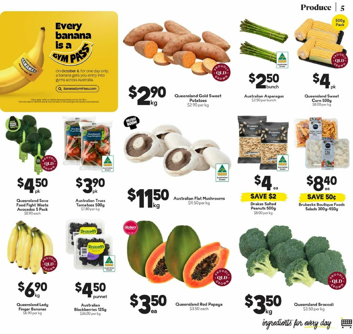 Drakes Queensland Catalogues from 1 October