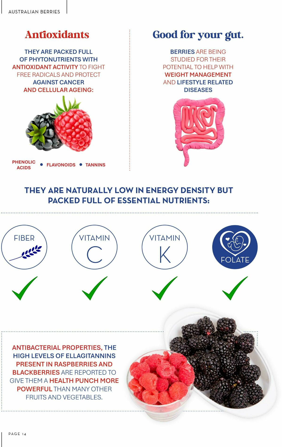 Drakes Magazine October/November Catalogues from 1 October