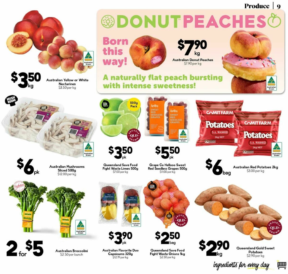 Drakes Queensland Catalogues from 11 February