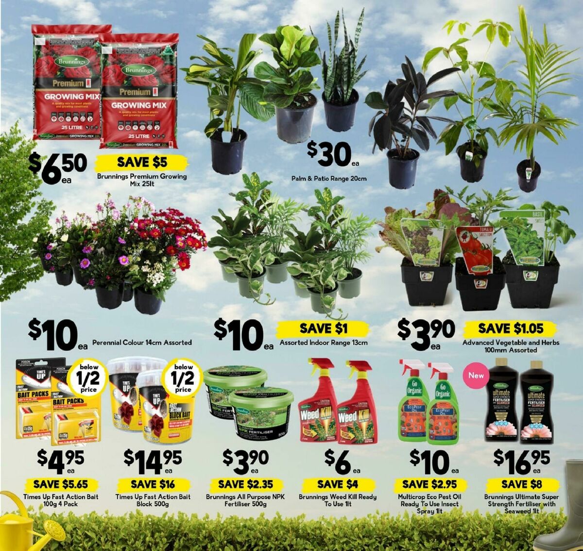 Drakes Catalogues from 15 April