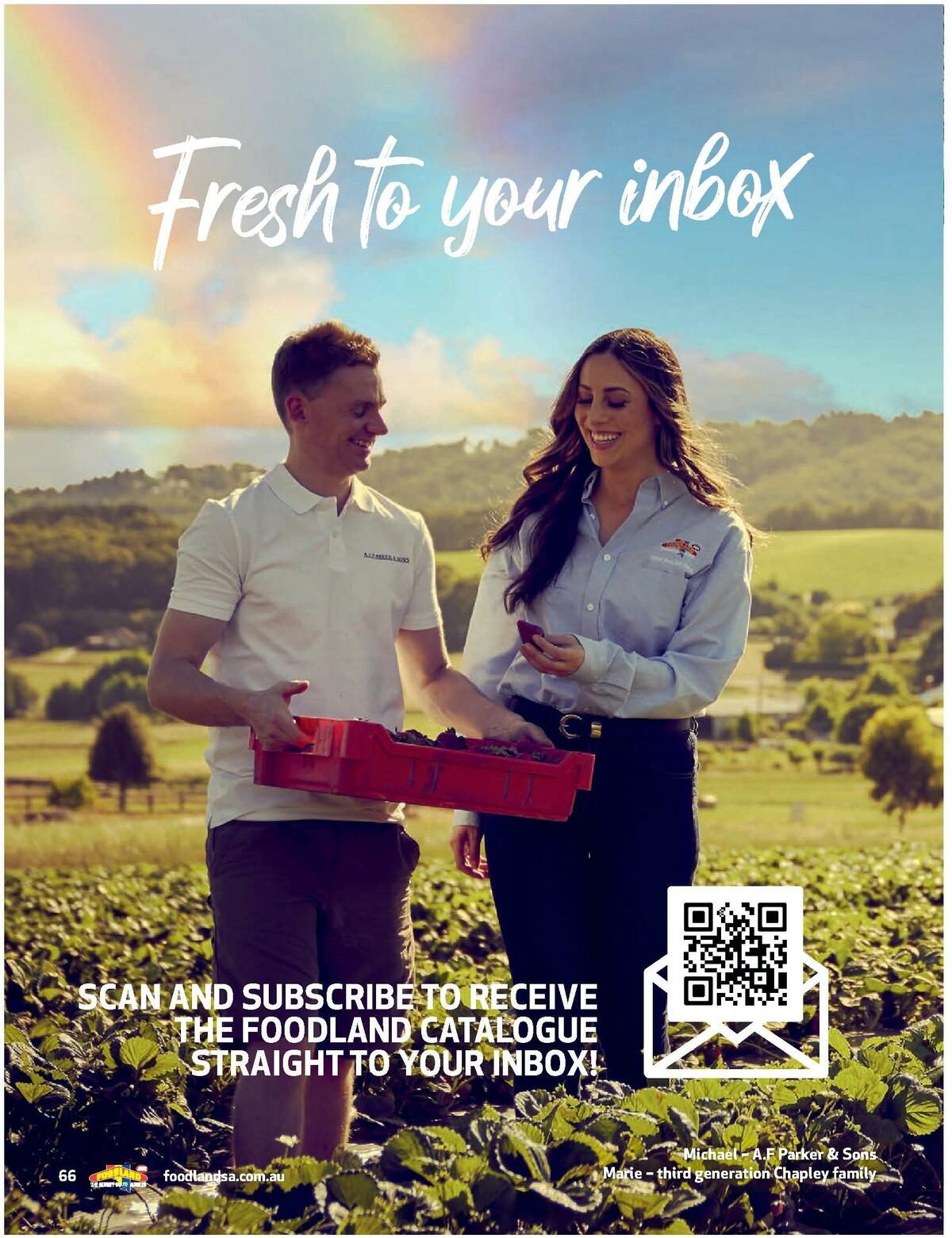Foodland Summer 2021 Catalogues from 15 October