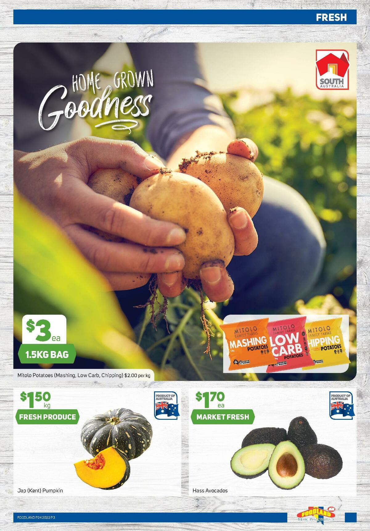 Foodland Catalogues from 15 June