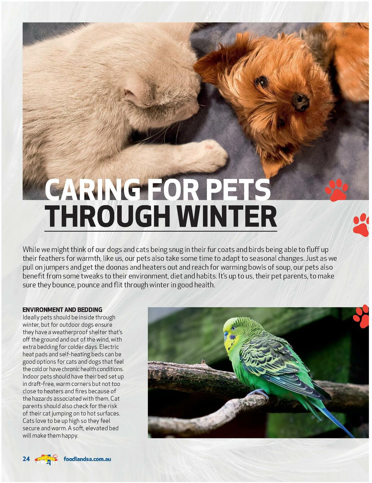 Foodland Magazine Catalogues from 10 August