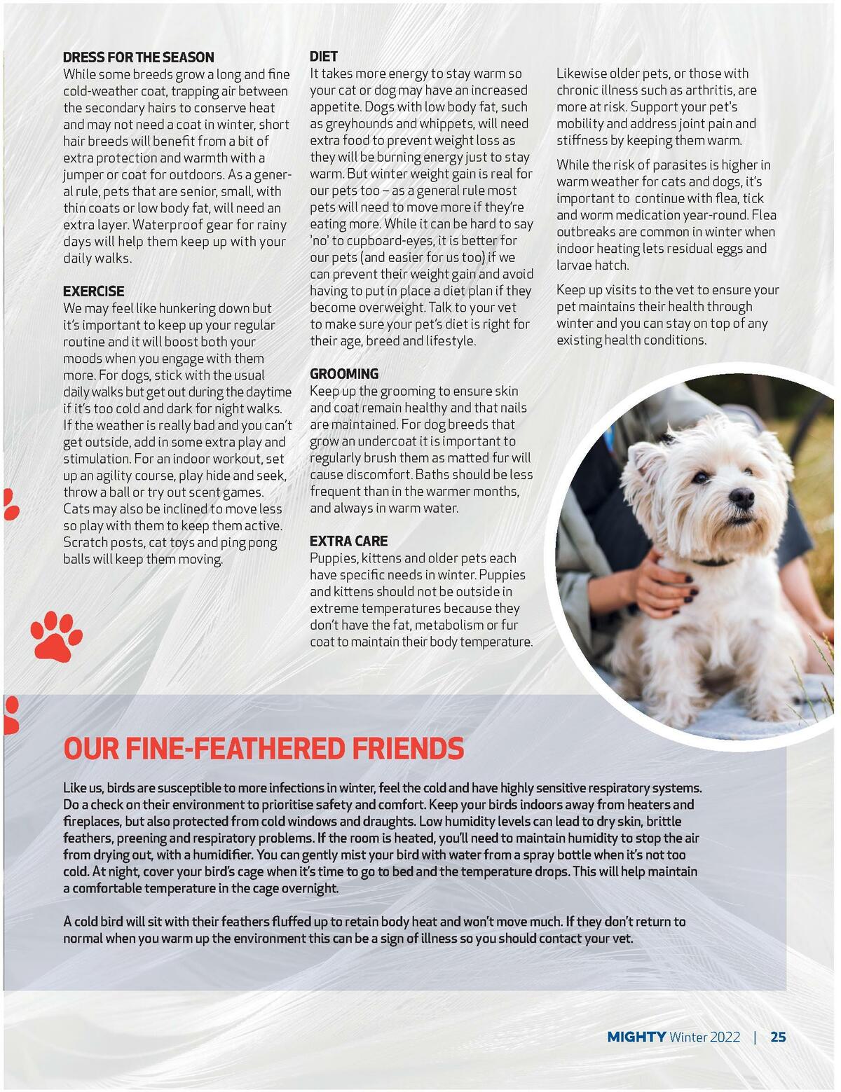 Foodland Magazine Catalogues from 10 August