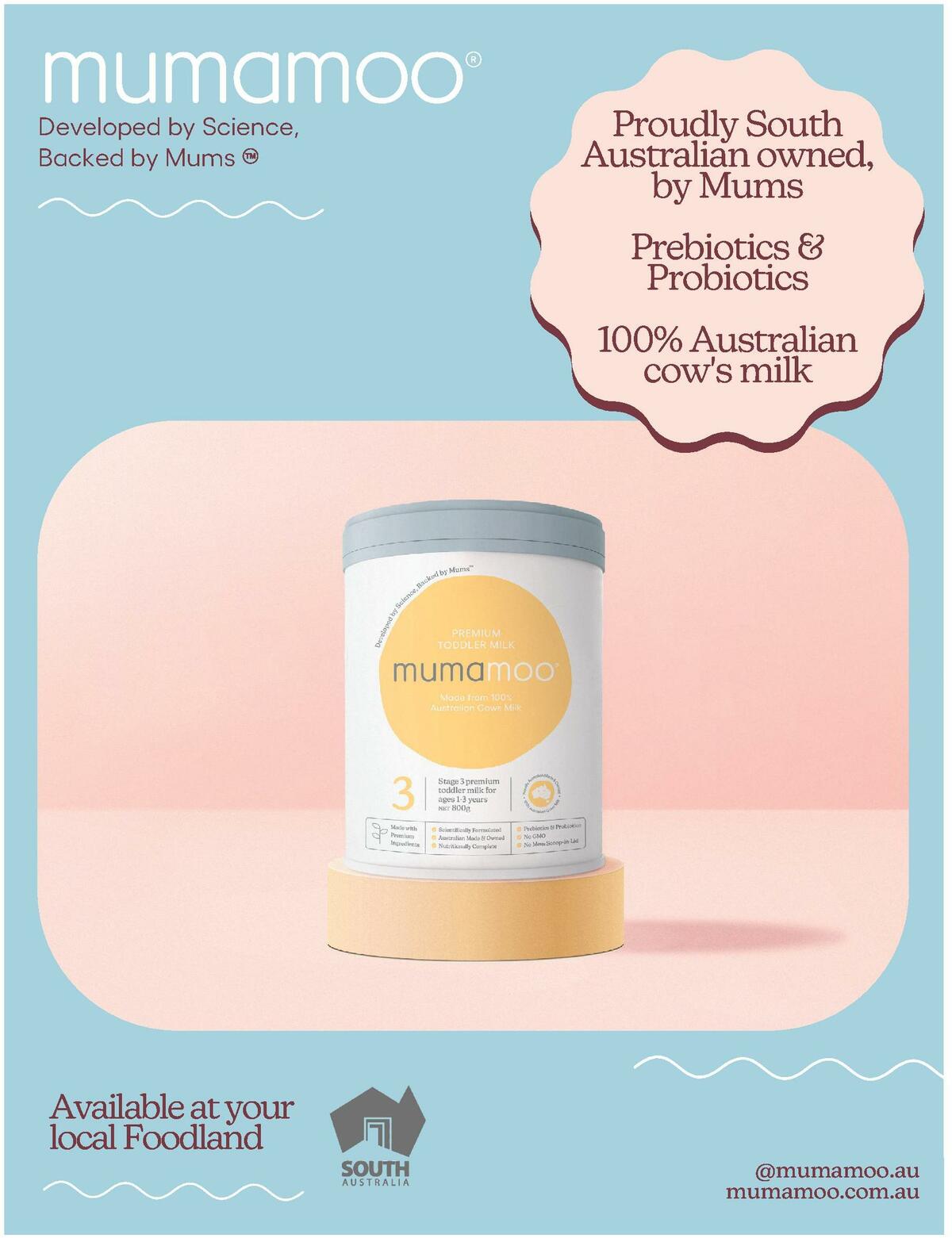 Foodland Magazine Catalogues from 10 August