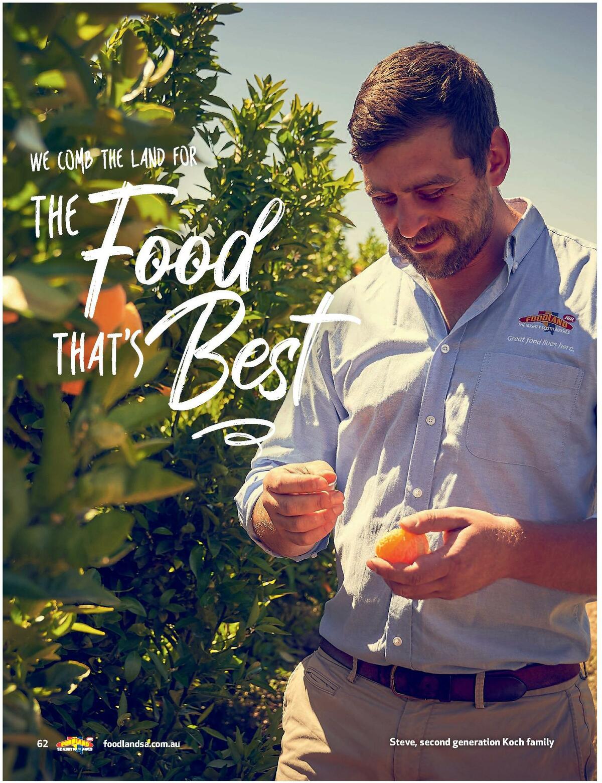 Foodland Magazine Catalogues from 10 August