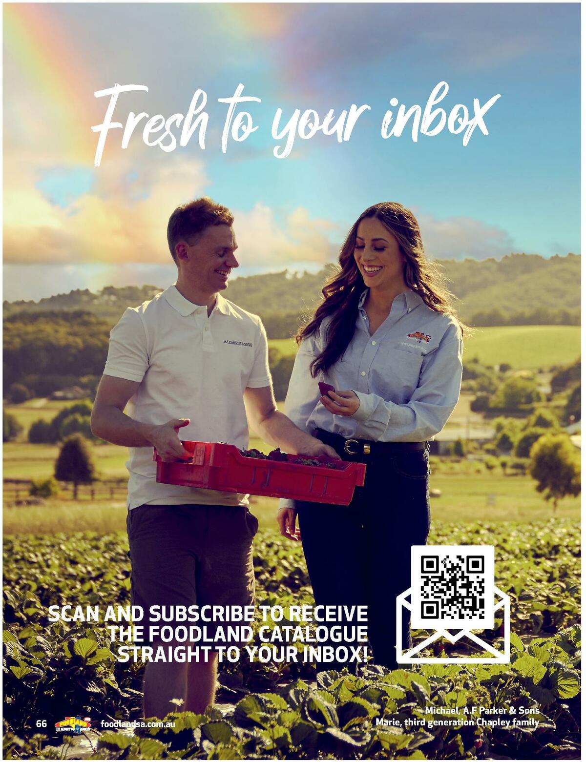 Foodland Magazine Catalogues from 10 August