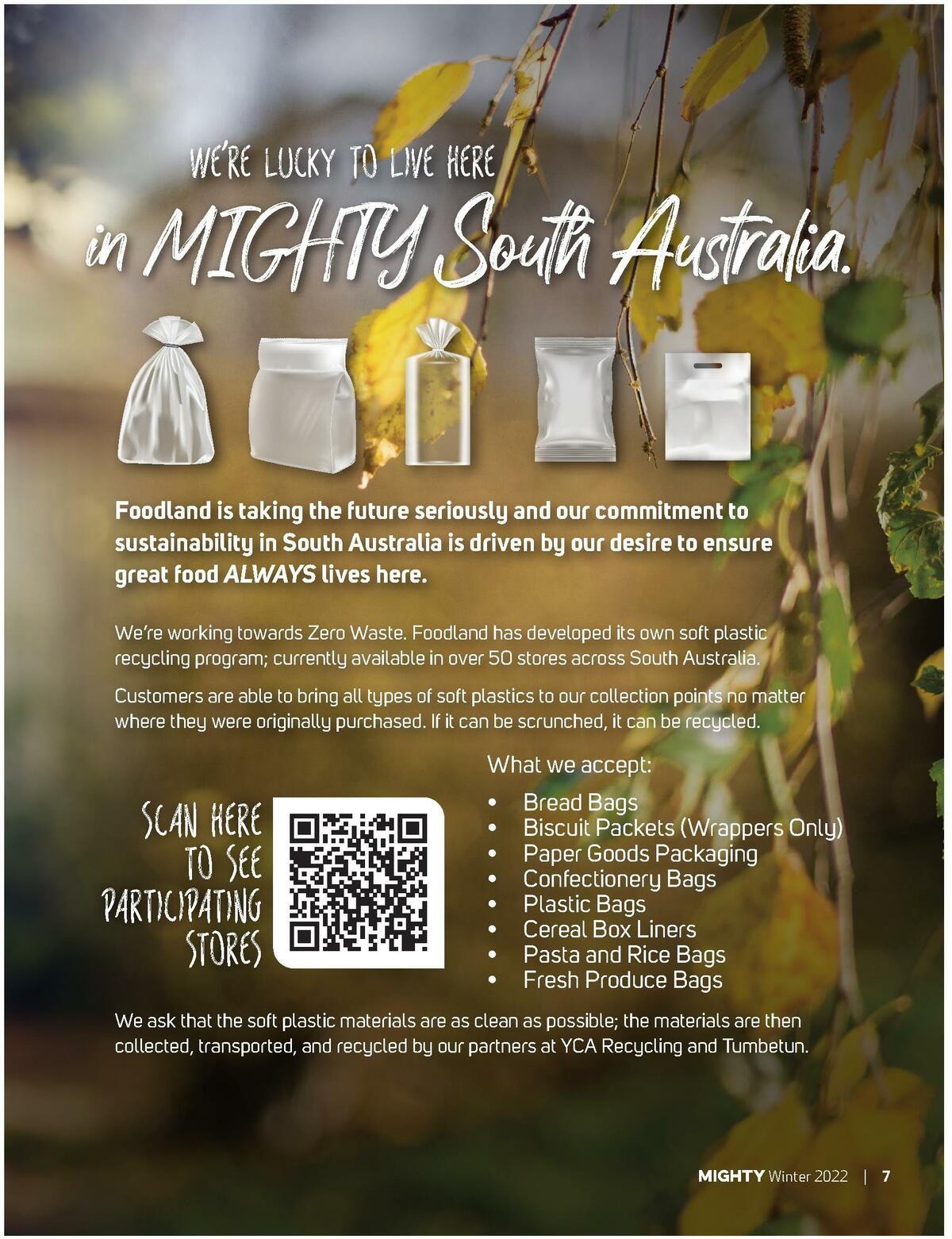 Foodland Magazine Catalogues from 10 August