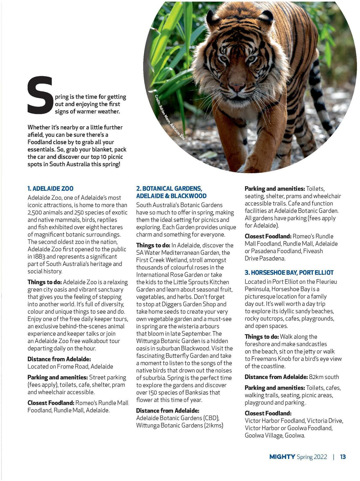 Foodland Magazine Spring Catalogues from 10 October