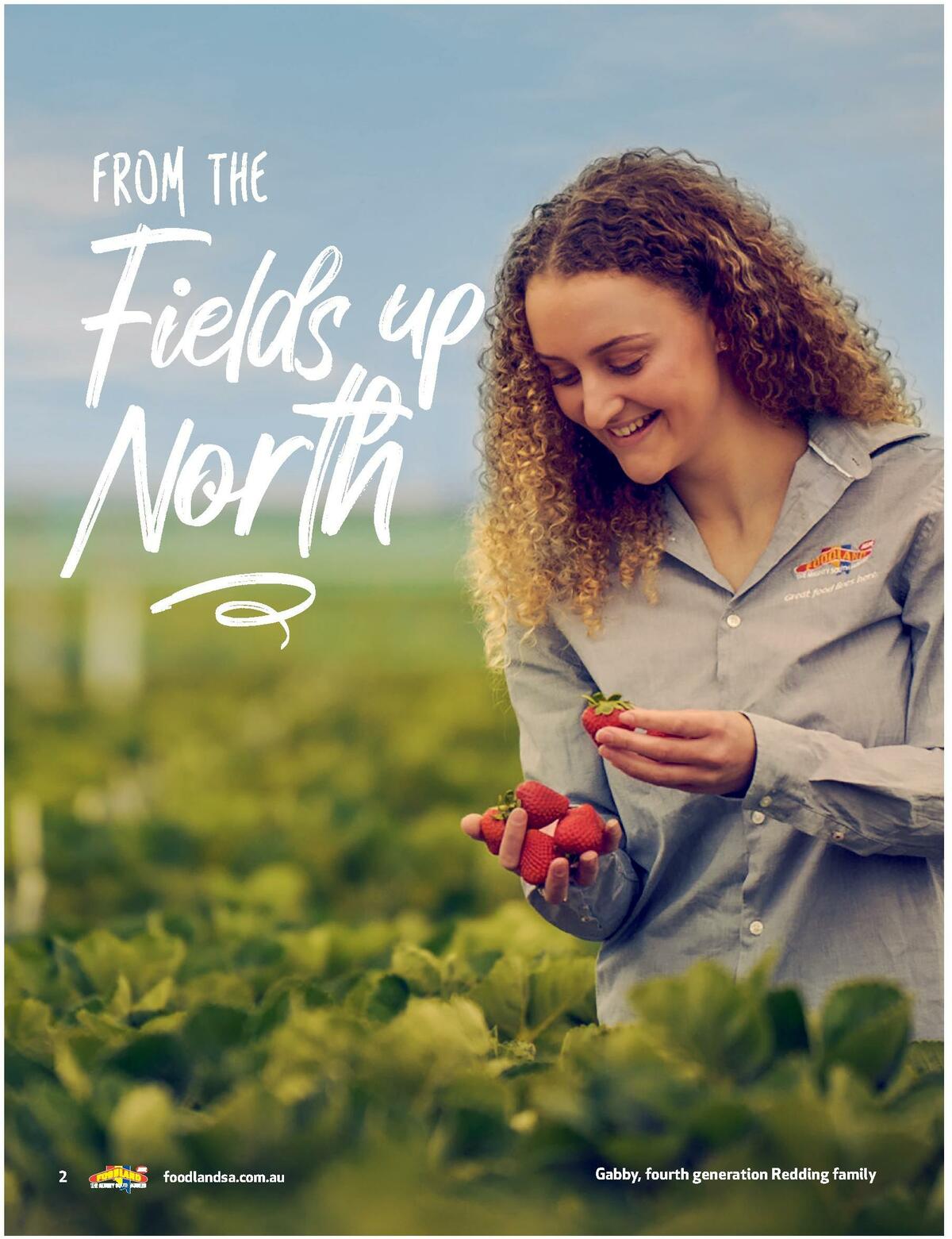 Foodland Magazine Spring Catalogues from 10 October